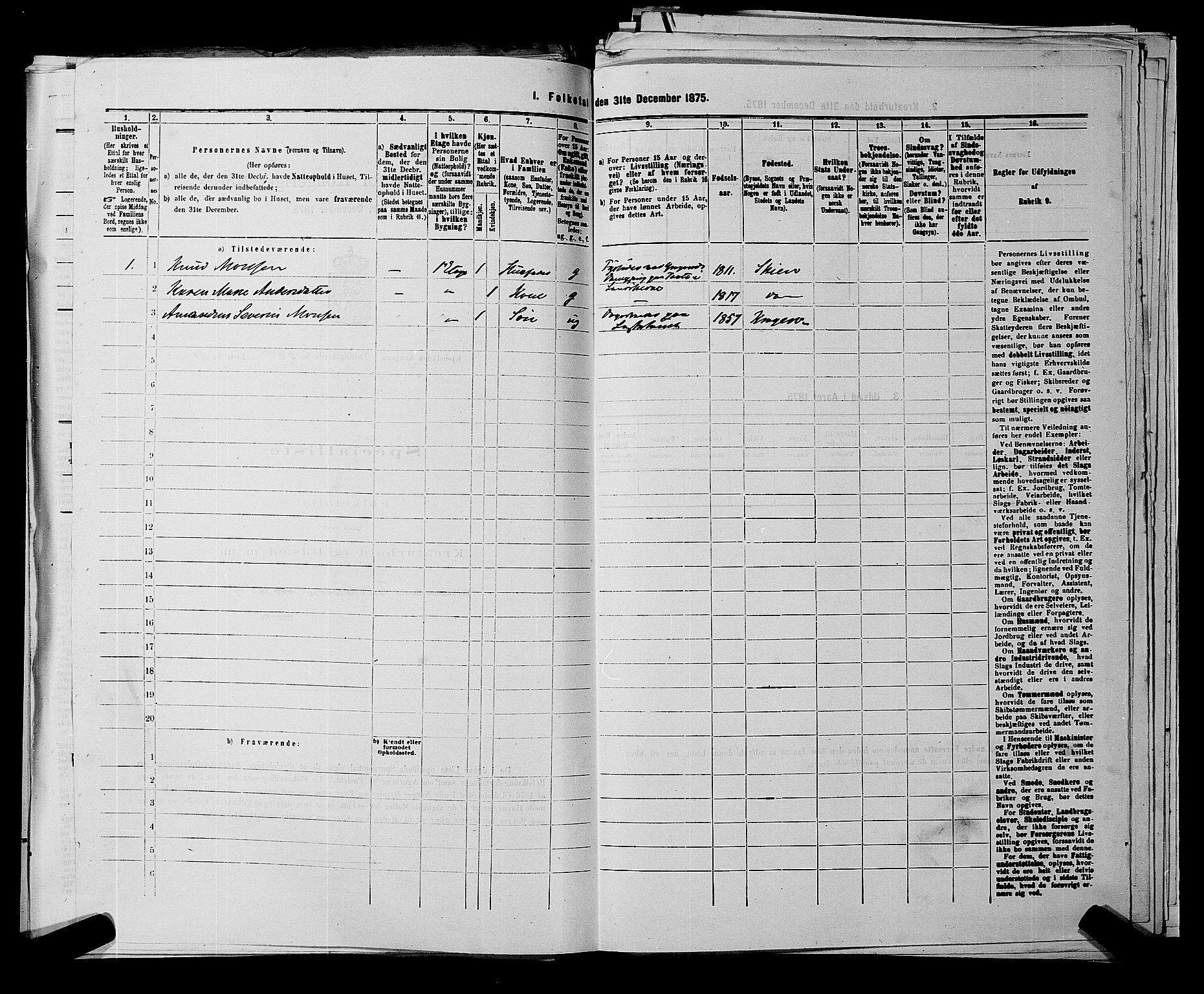 SAKO, 1875 census for 0801P Kragerø, 1875, p. 1306