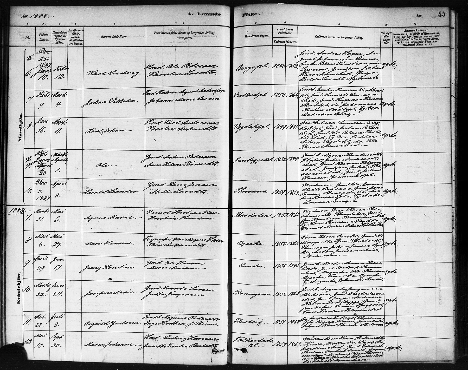 Våler prestekontor Kirkebøker, SAO/A-11083/F/Fa/L0010: Parish register (official) no. I 10, 1878-1896, p. 45