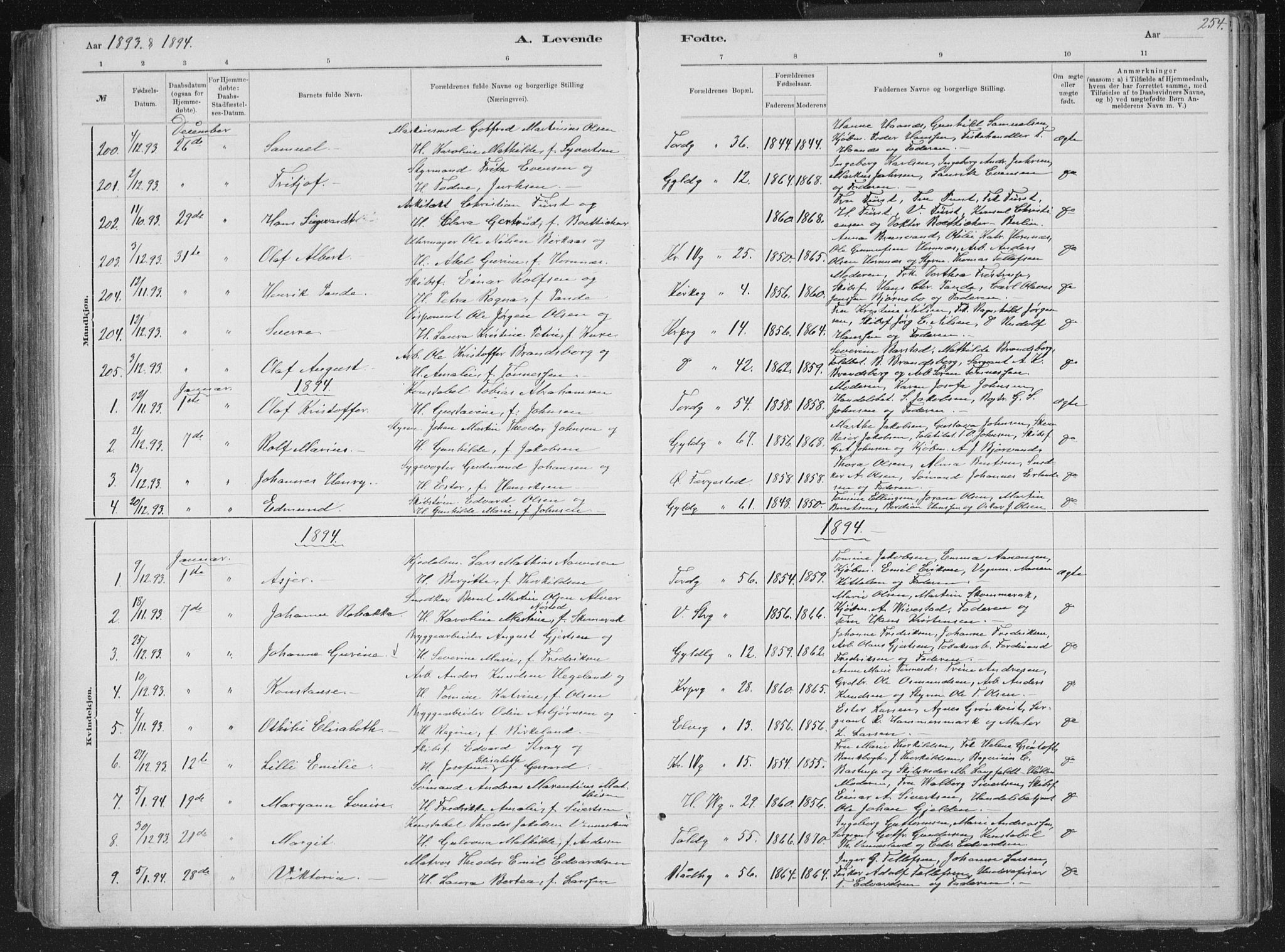 Kristiansand domprosti, AV/SAK-1112-0006/F/Fb/L0014: Parish register (copy) no. B 14, 1881-1896, p. 254