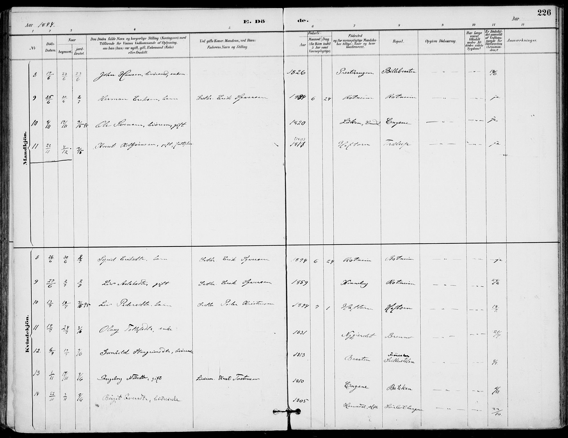 Gol kirkebøker, AV/SAKO-A-226/F/Fa/L0005: Parish register (official) no. I 5, 1887-1900, p. 226