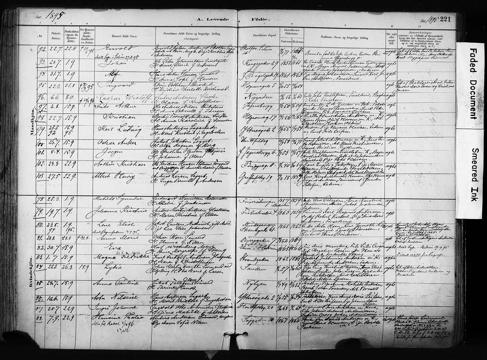 Larvik kirkebøker, AV/SAKO-A-352/F/Fa/L0009: Parish register (official) no. I 9, 1884-1904, p. 221