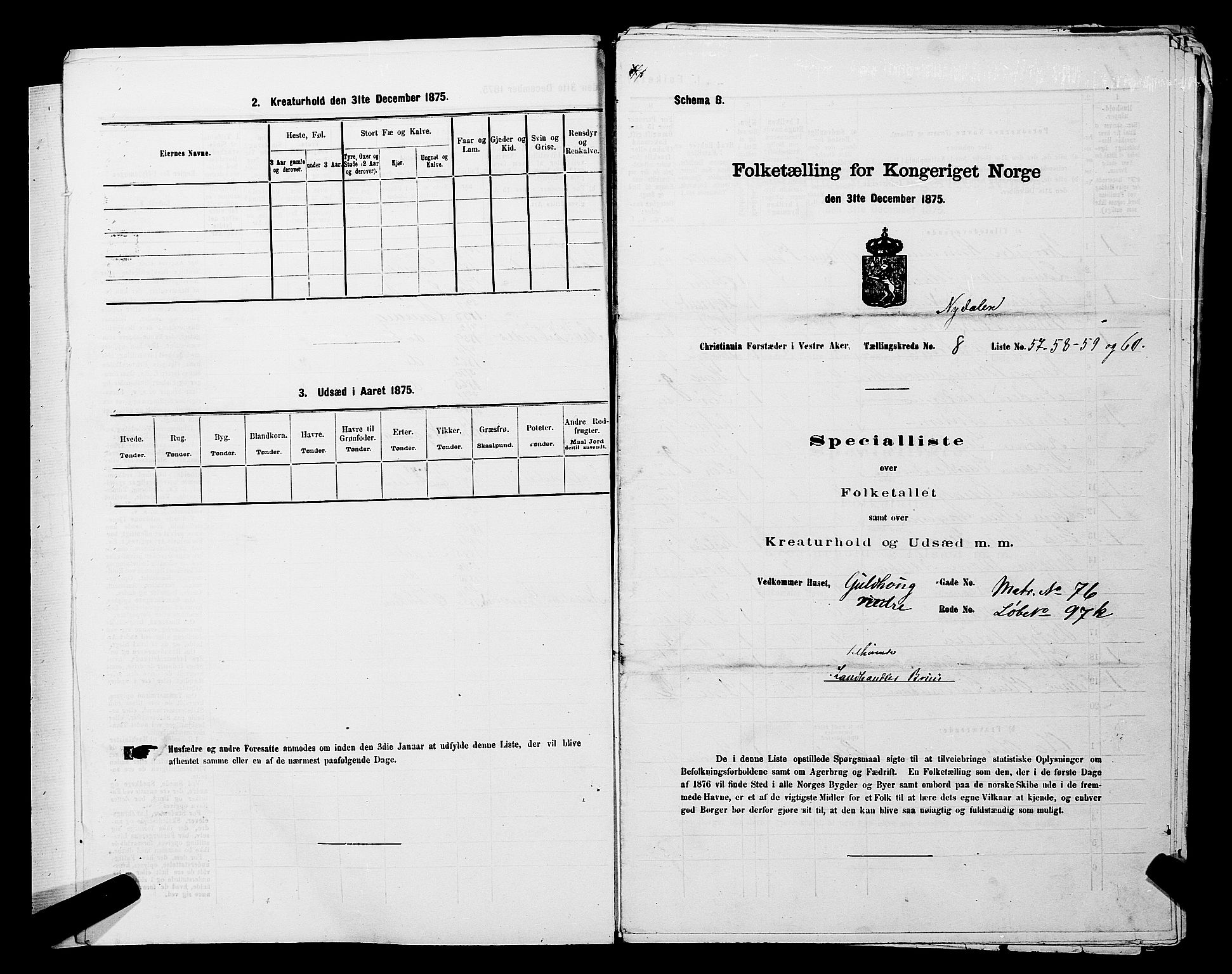 RA, 1875 census for 0218aP Vestre Aker, 1875, p. 1346