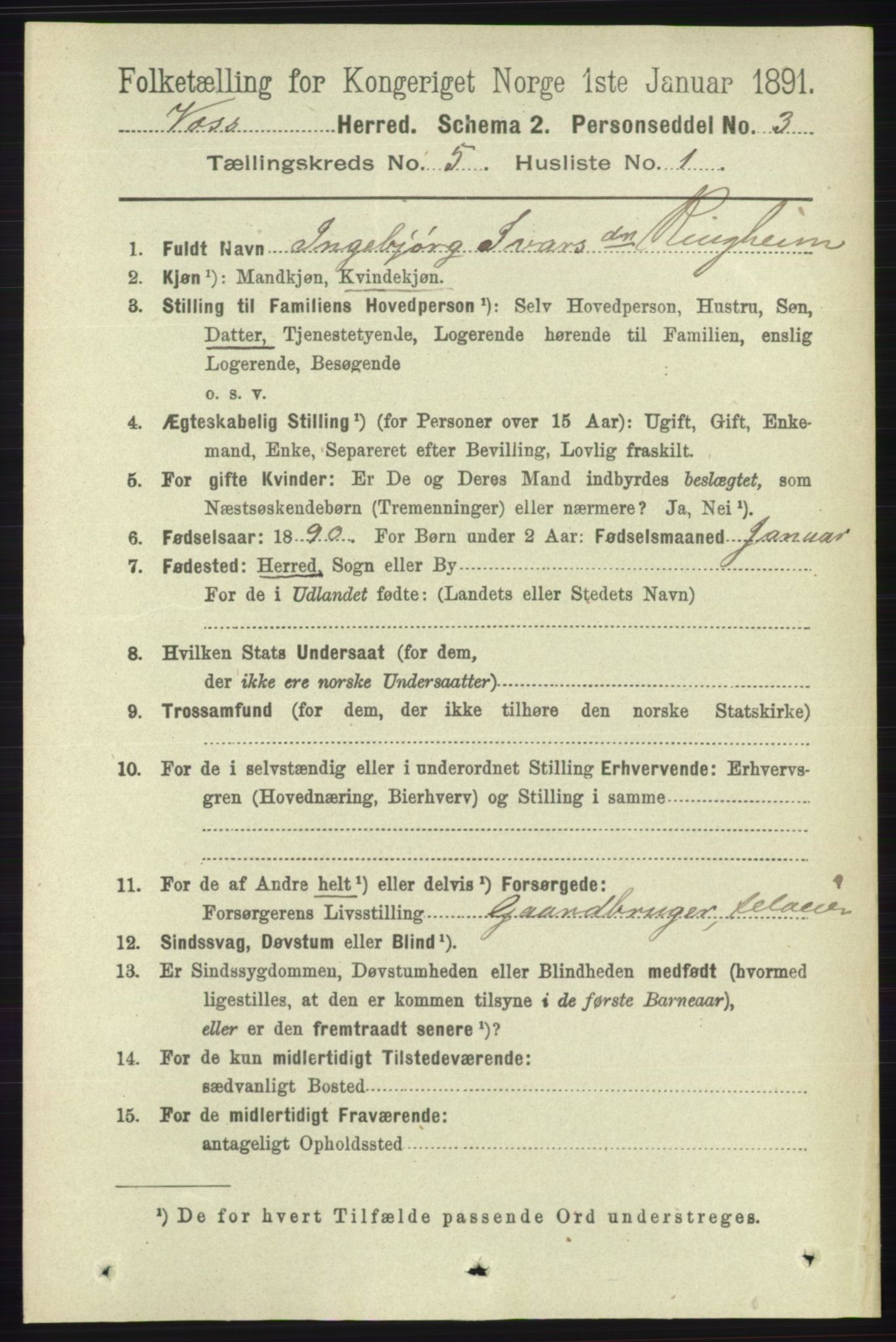 RA, 1891 census for 1235 Voss, 1891, p. 2704