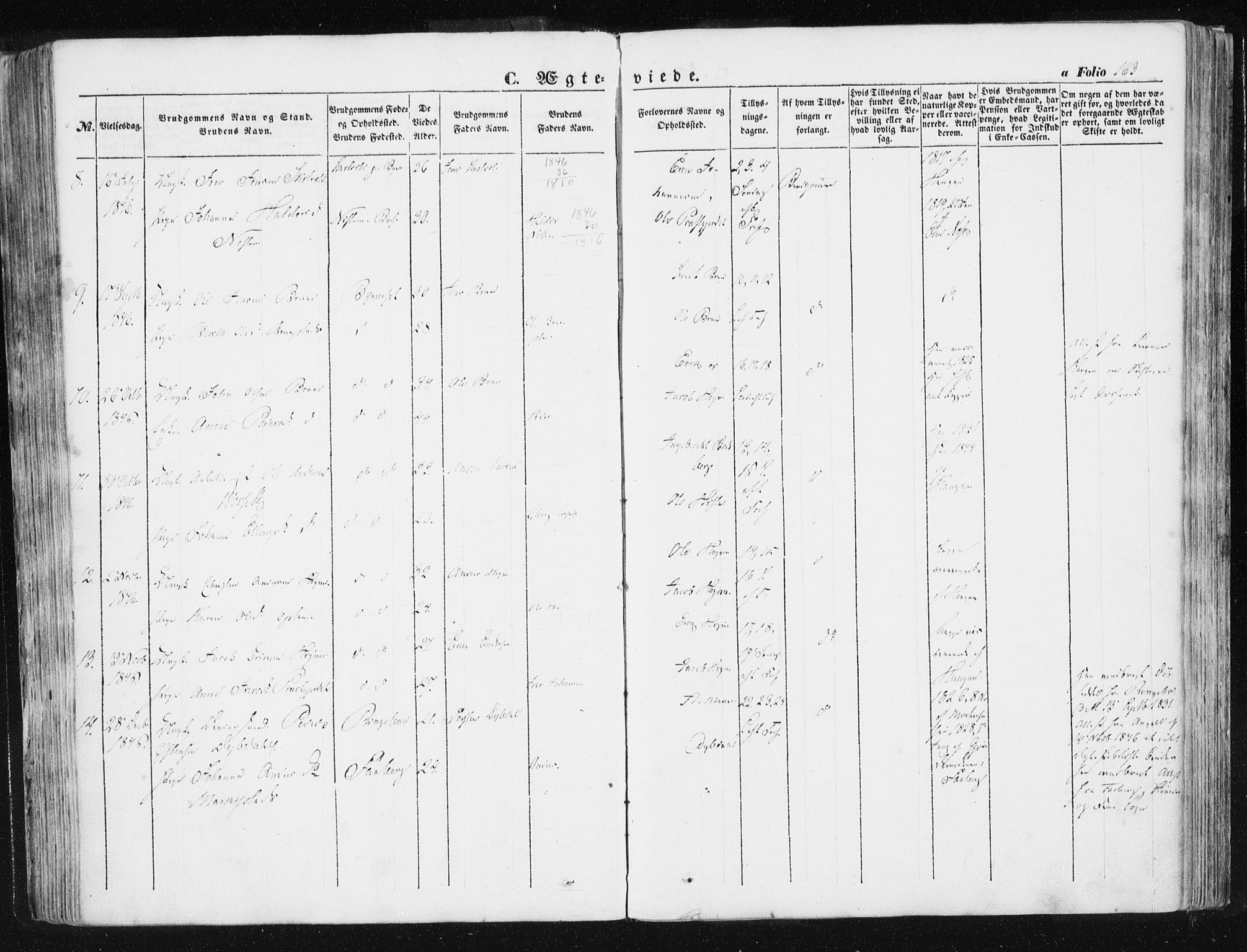 Ministerialprotokoller, klokkerbøker og fødselsregistre - Sør-Trøndelag, SAT/A-1456/612/L0376: Parish register (official) no. 612A08, 1846-1859, p. 163