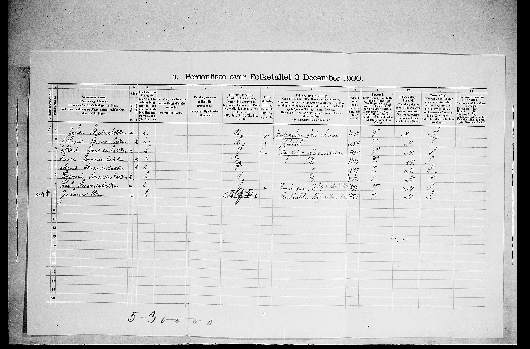 SAH, 1900 census for Nes, 1900, p. 501