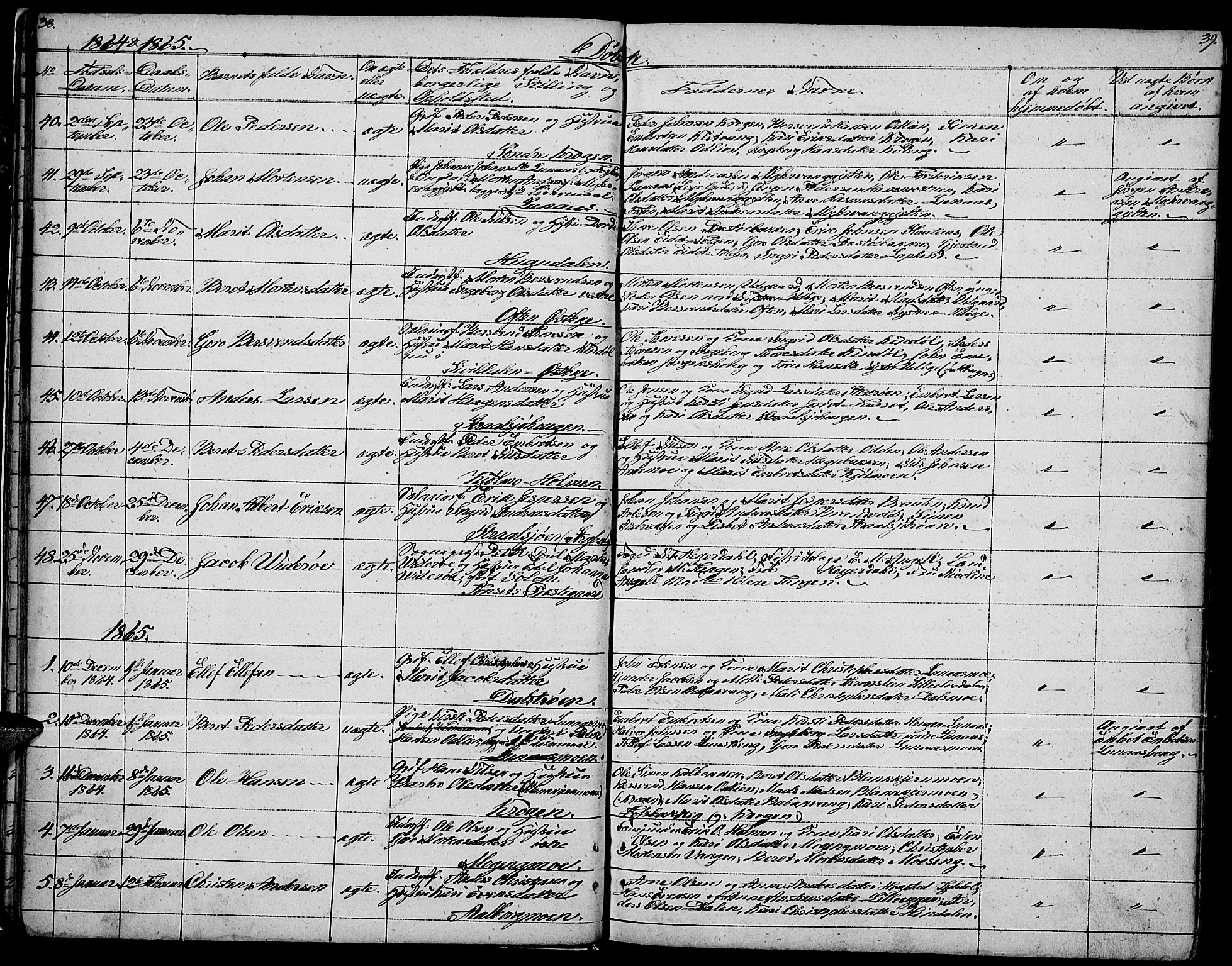 Tynset prestekontor, AV/SAH-PREST-058/H/Ha/Hab/L0005: Parish register (copy) no. 5, 1860-1879, p. 38-39