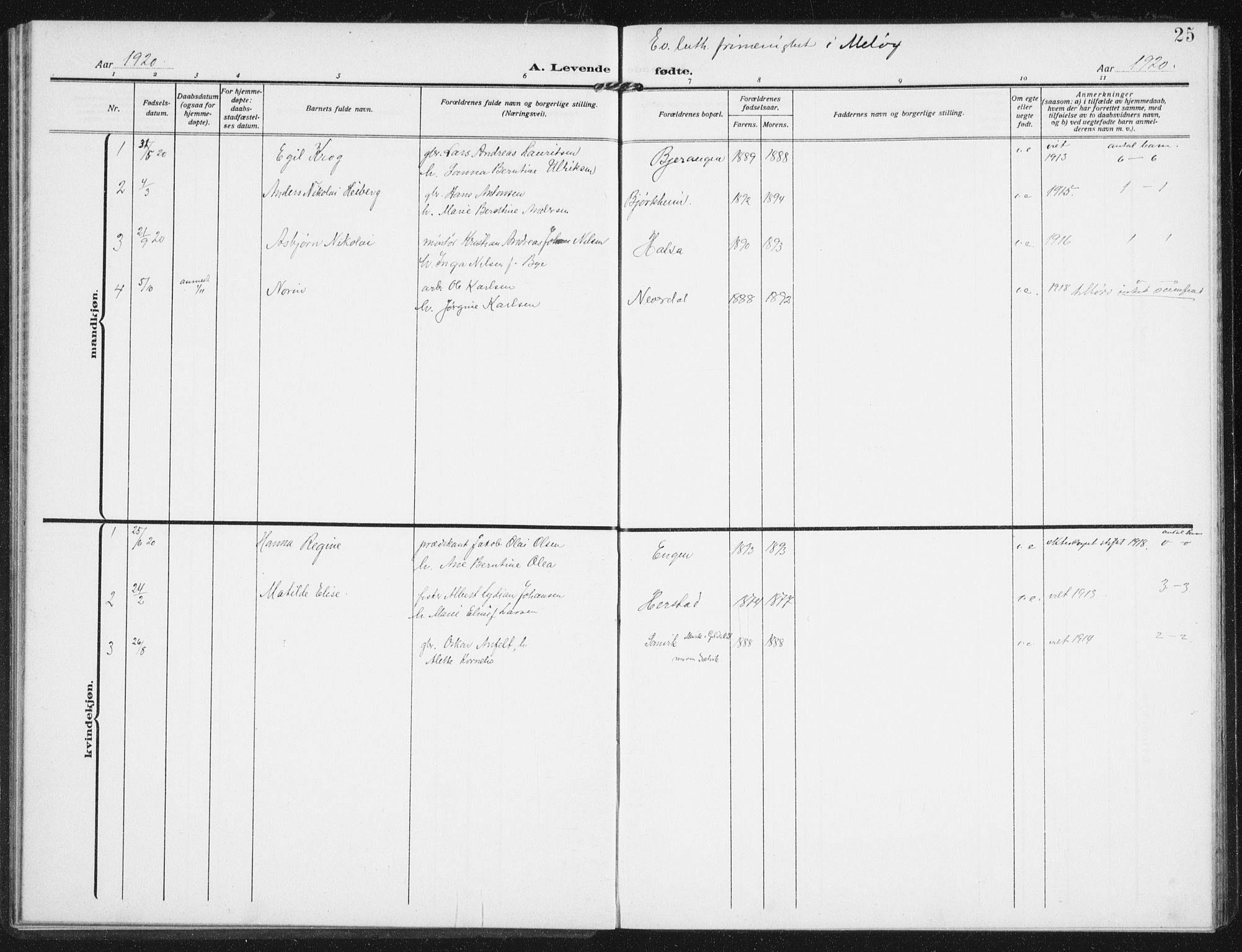 Ministerialprotokoller, klokkerbøker og fødselsregistre - Nordland, AV/SAT-A-1459/843/L0629: Parish register (official) no. 843A04, 1907-1925, p. 25