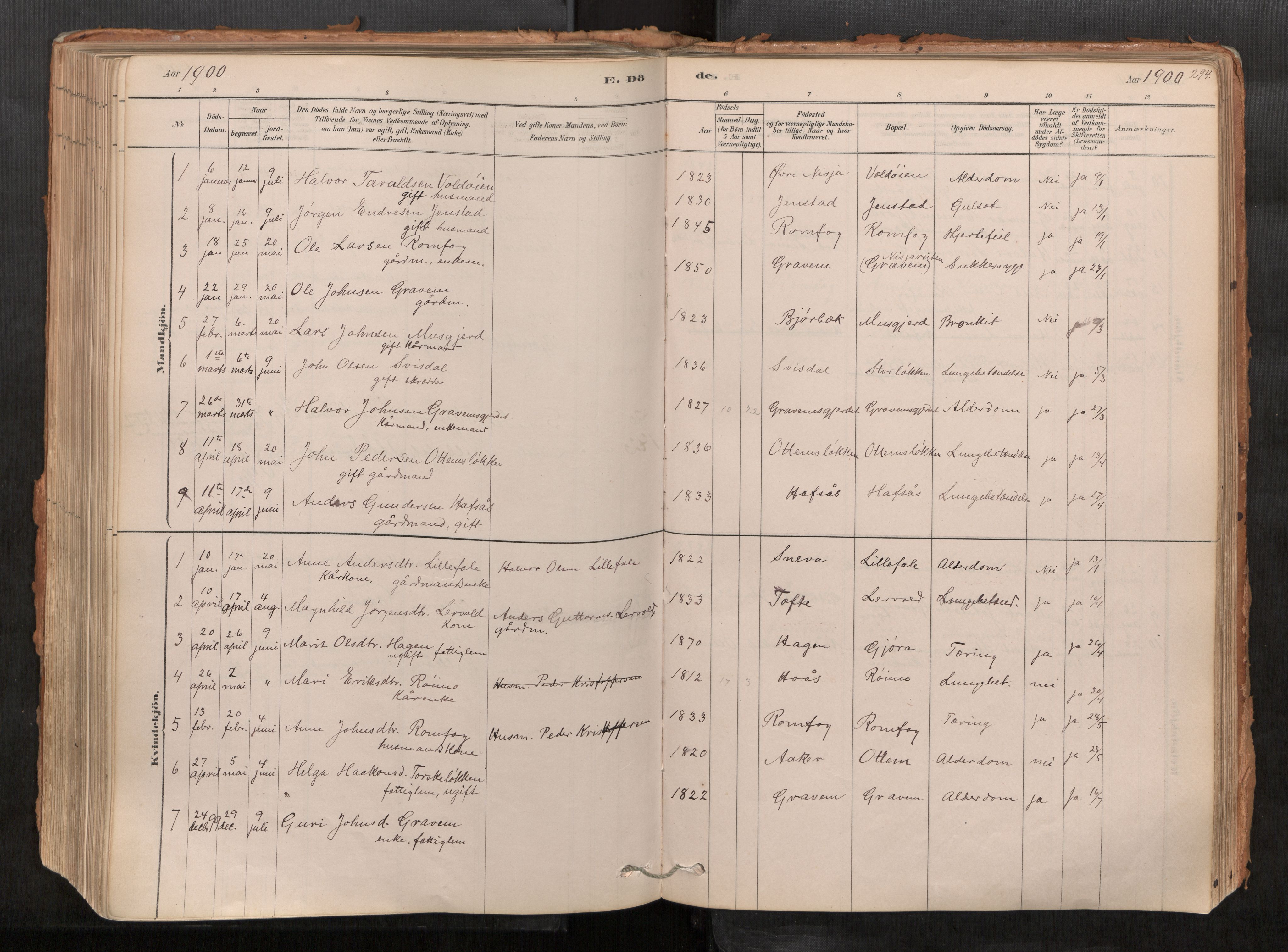 Sunndal sokneprestkontor, AV/SAT-A-1085/1/I/I1/I1a/L0001: Parish register (official) no. 1, 1877-1914, p. 294