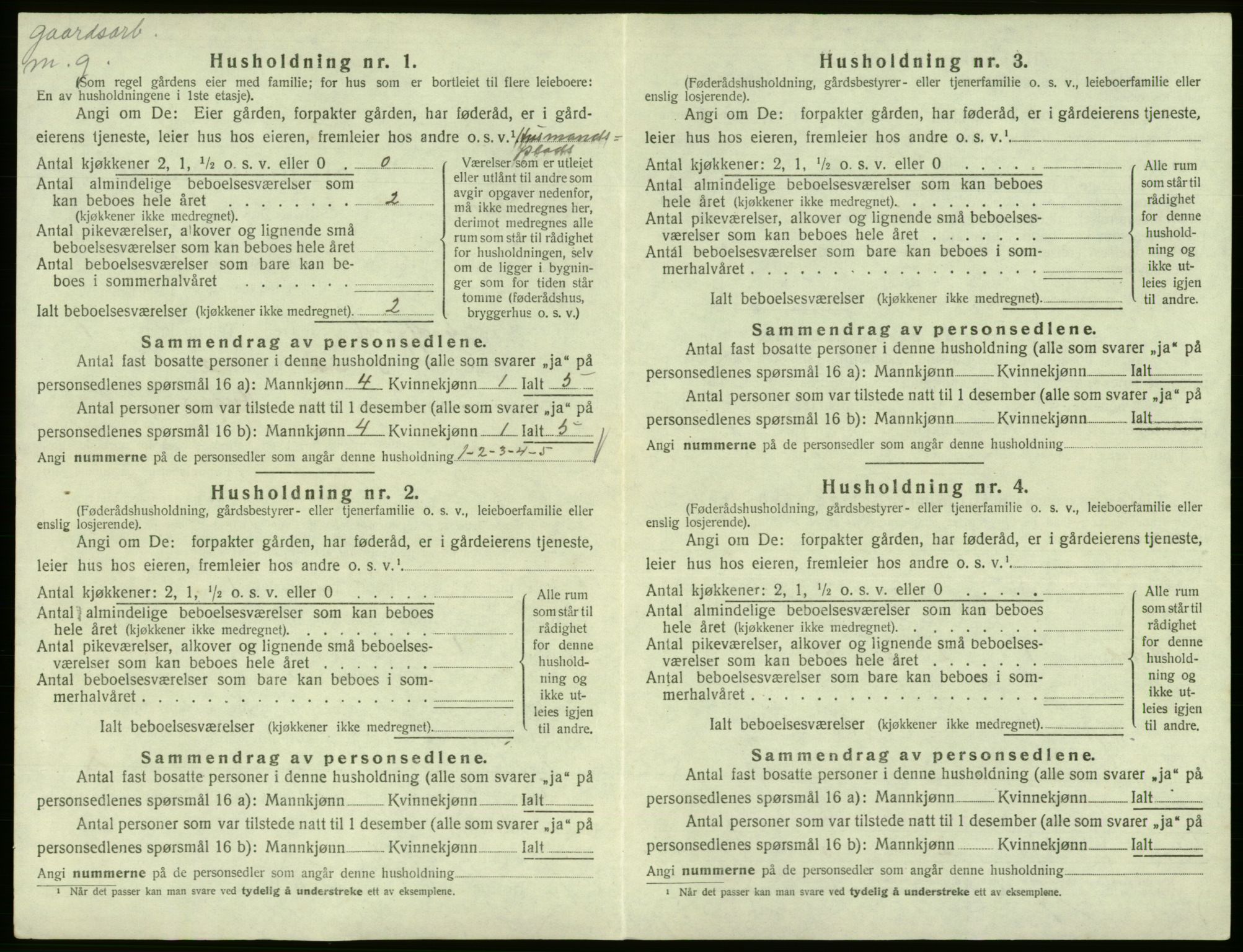 SAB, 1920 census for Eidfjord, 1920, p. 31