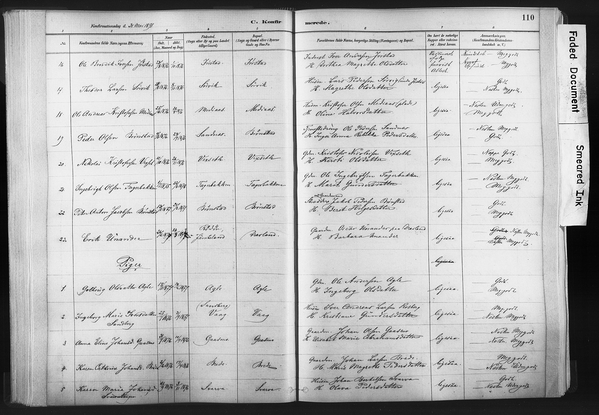 Ministerialprotokoller, klokkerbøker og fødselsregistre - Nord-Trøndelag, AV/SAT-A-1458/749/L0474: Parish register (official) no. 749A08, 1887-1903, p. 110