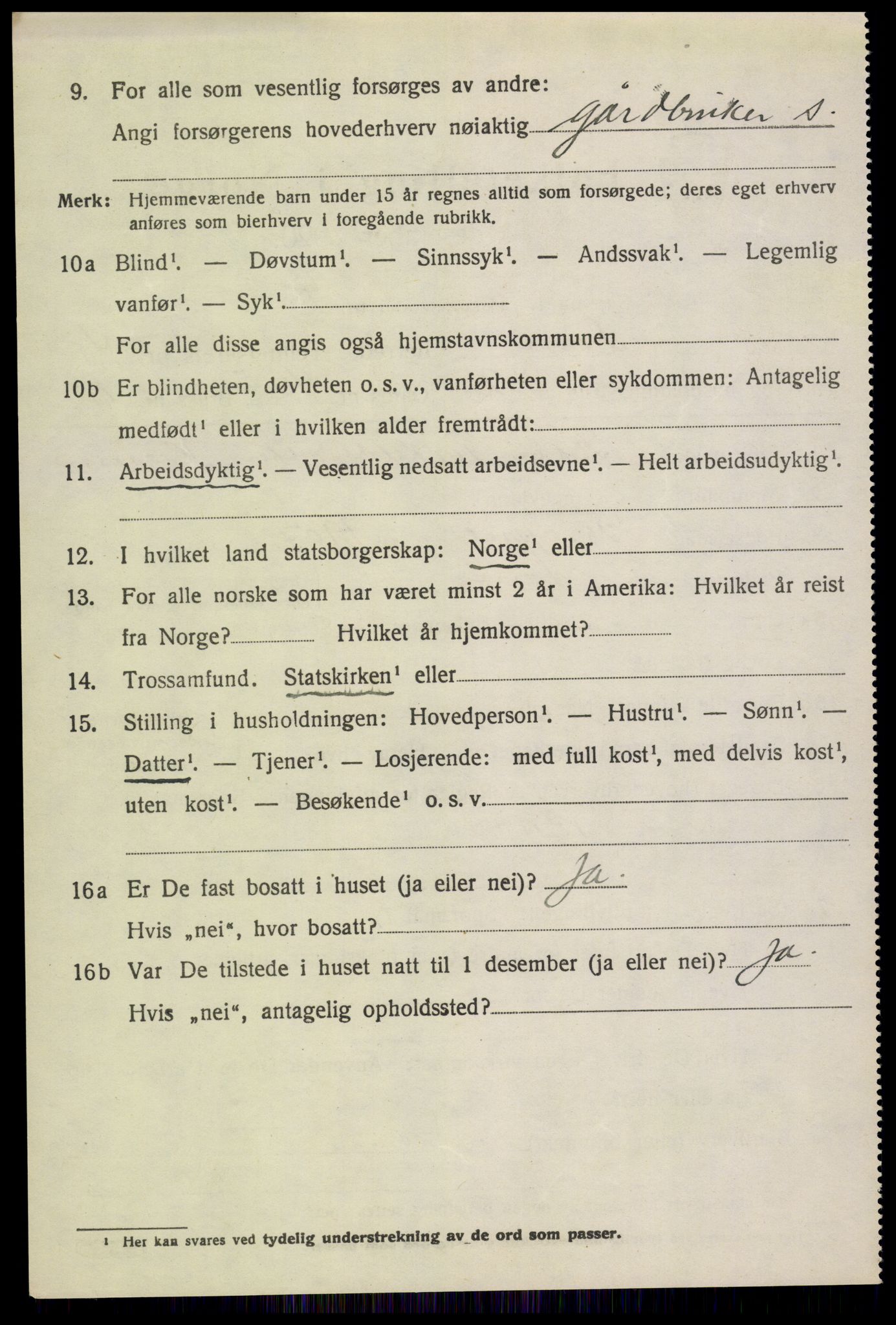 SAH, 1920 census for Lom, 1920, p. 2597