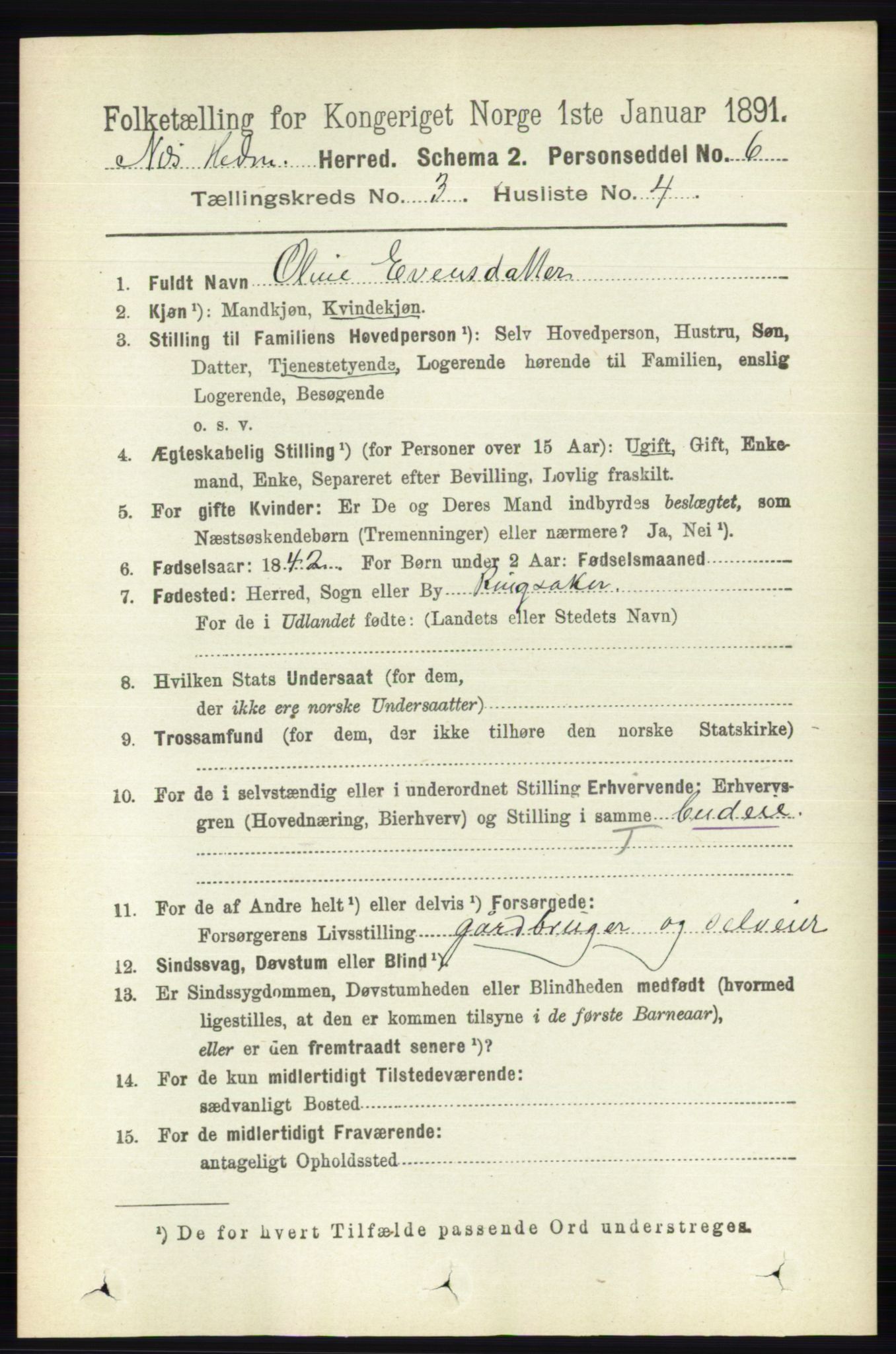 RA, 1891 census for 0411 Nes, 1891, p. 1617