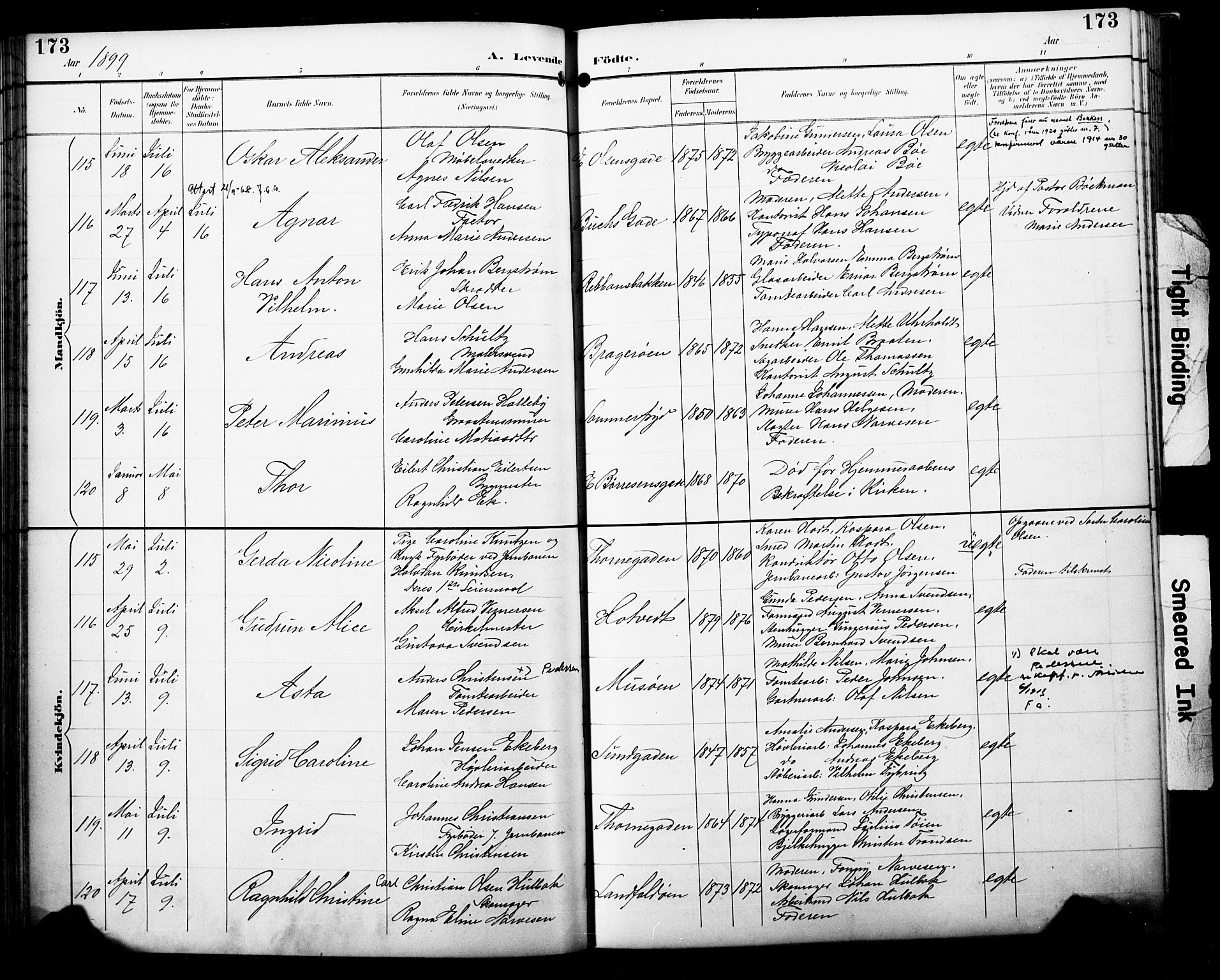 Bragernes kirkebøker, AV/SAKO-A-6/F/Fb/L0008: Parish register (official) no. II 8, 1894-1902, p. 173