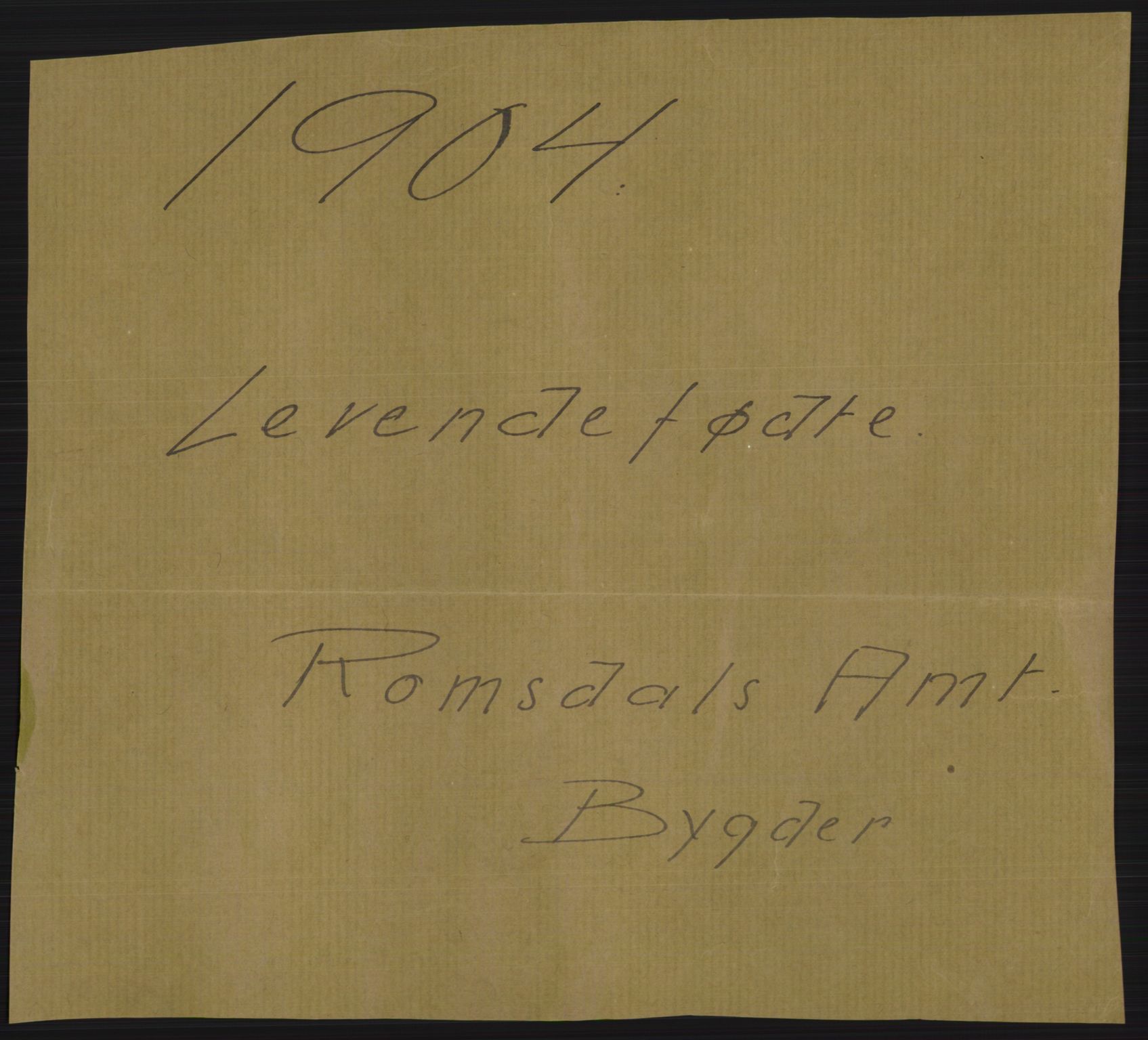 Statistisk sentralbyrå, Sosiodemografiske emner, Befolkning, AV/RA-S-2228/D/Df/Dfa/Dfab/L0016: Romsdals amt: Fødte, gifte, døde., 1904, p. 1