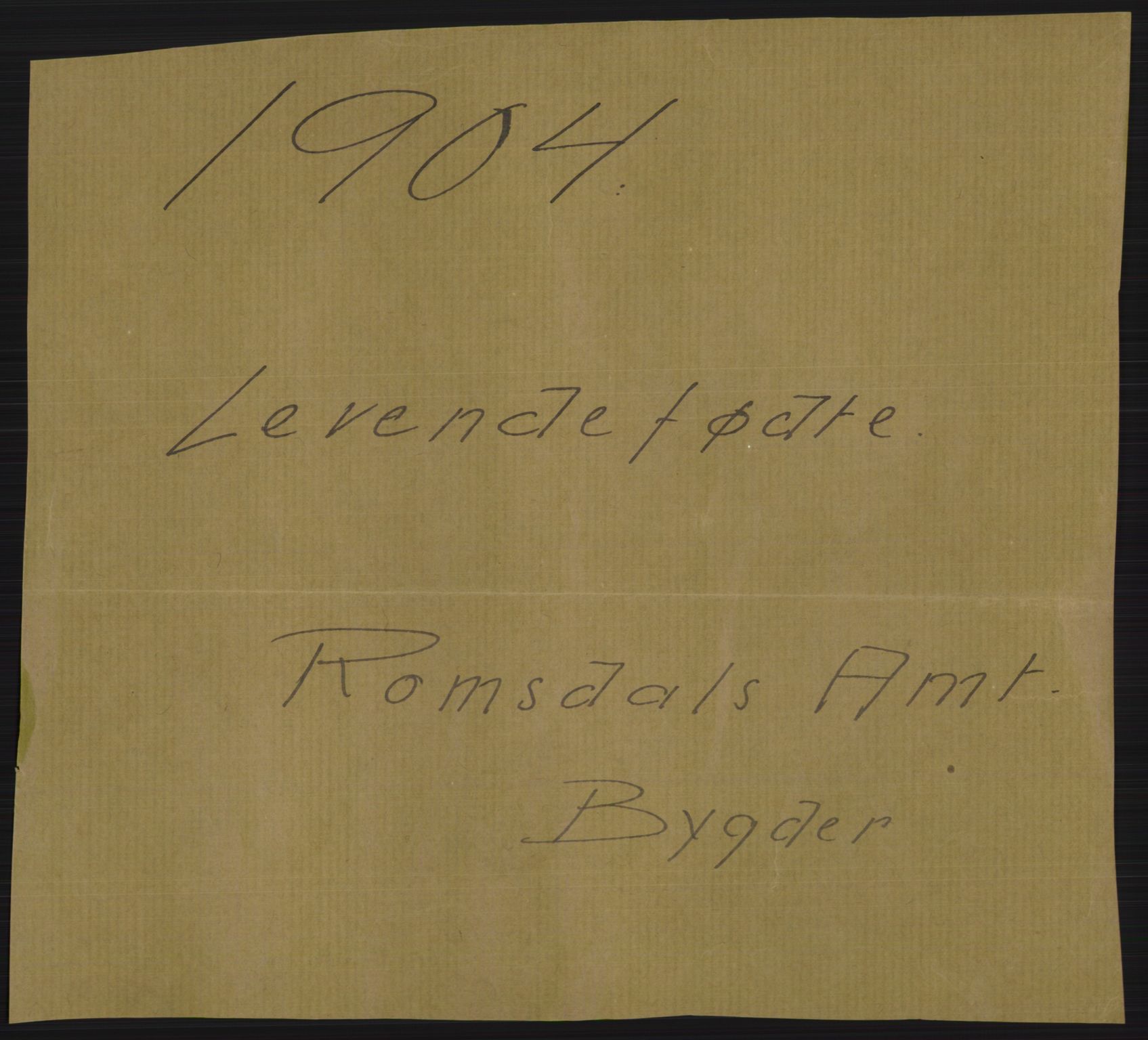 Statistisk sentralbyrå, Sosiodemografiske emner, Befolkning, RA/S-2228/D/Df/Dfa/Dfab/L0016: Romsdals amt: Fødte, gifte, døde., 1904, p. 1