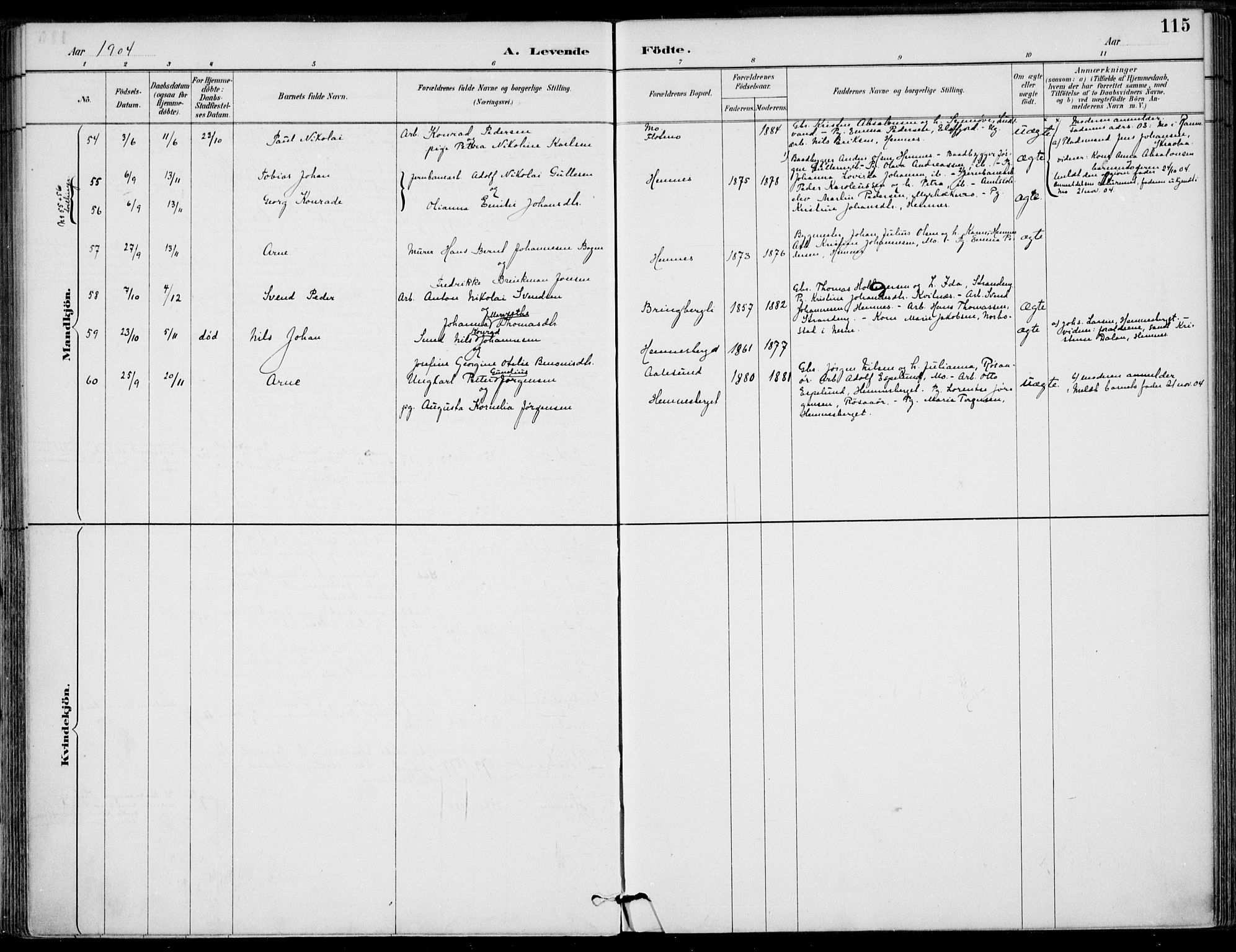 Ministerialprotokoller, klokkerbøker og fødselsregistre - Nordland, AV/SAT-A-1459/825/L0362: Parish register (official) no. 825A16, 1886-1908, p. 115