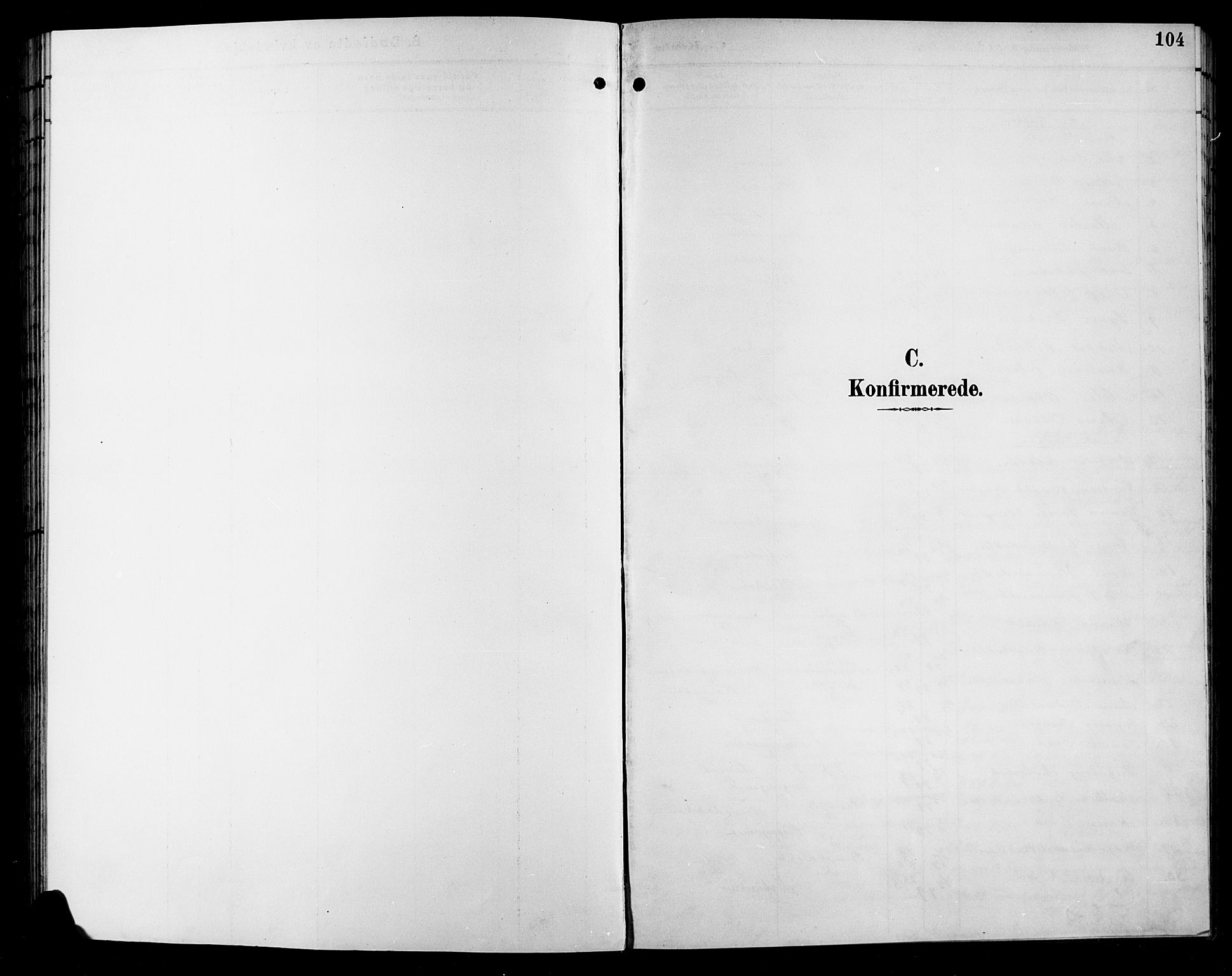 Sør-Aurdal prestekontor, SAH/PREST-128/H/Ha/Hab/L0009: Parish register (copy) no. 9, 1894-1924, p. 104