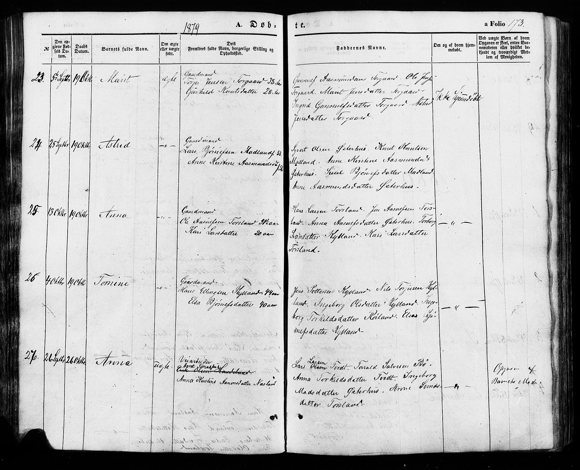 Åseral sokneprestkontor, AV/SAK-1111-0051/F/Fa/L0002: Parish register (official) no. A 2, 1854-1884, p. 173