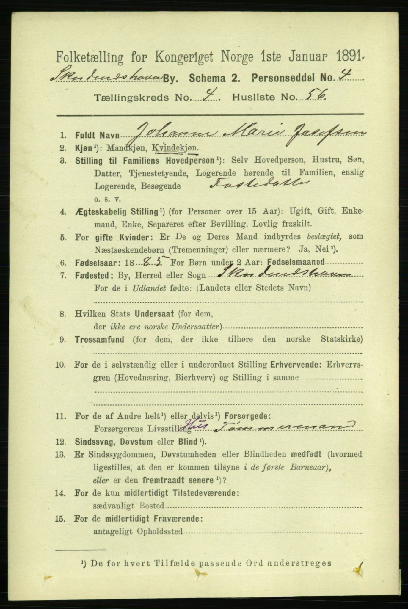 RA, 1891 census for 1104 Skudeneshavn, 1891, p. 1643