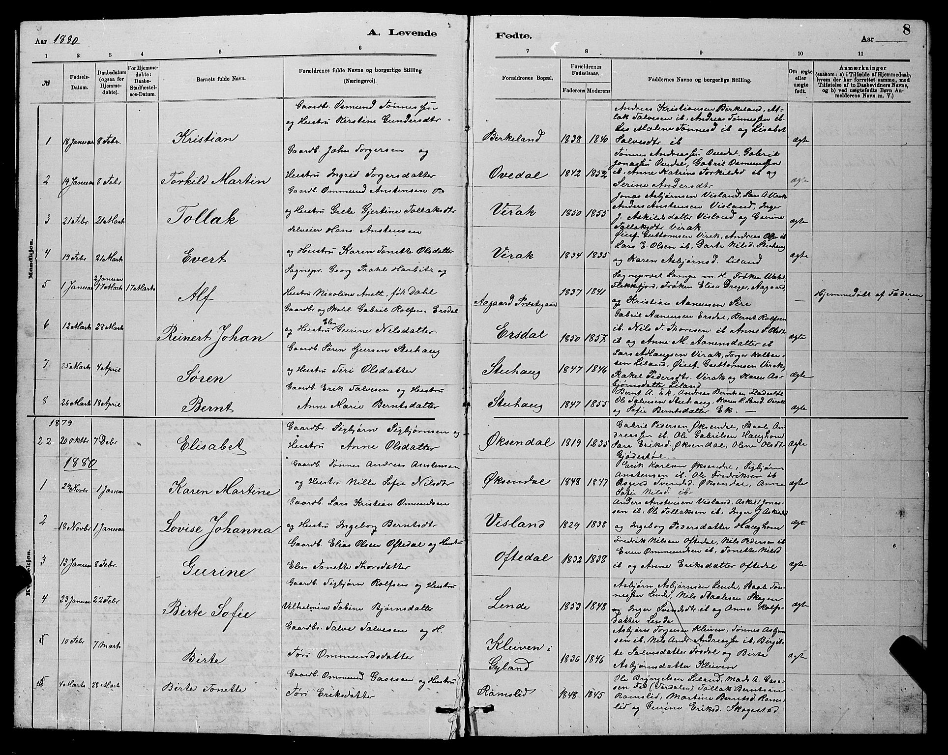 Bakke sokneprestkontor, SAK/1111-0002/F/Fb/Fba/L0002: Parish register (copy) no. B 2, 1879-1893, p. 8