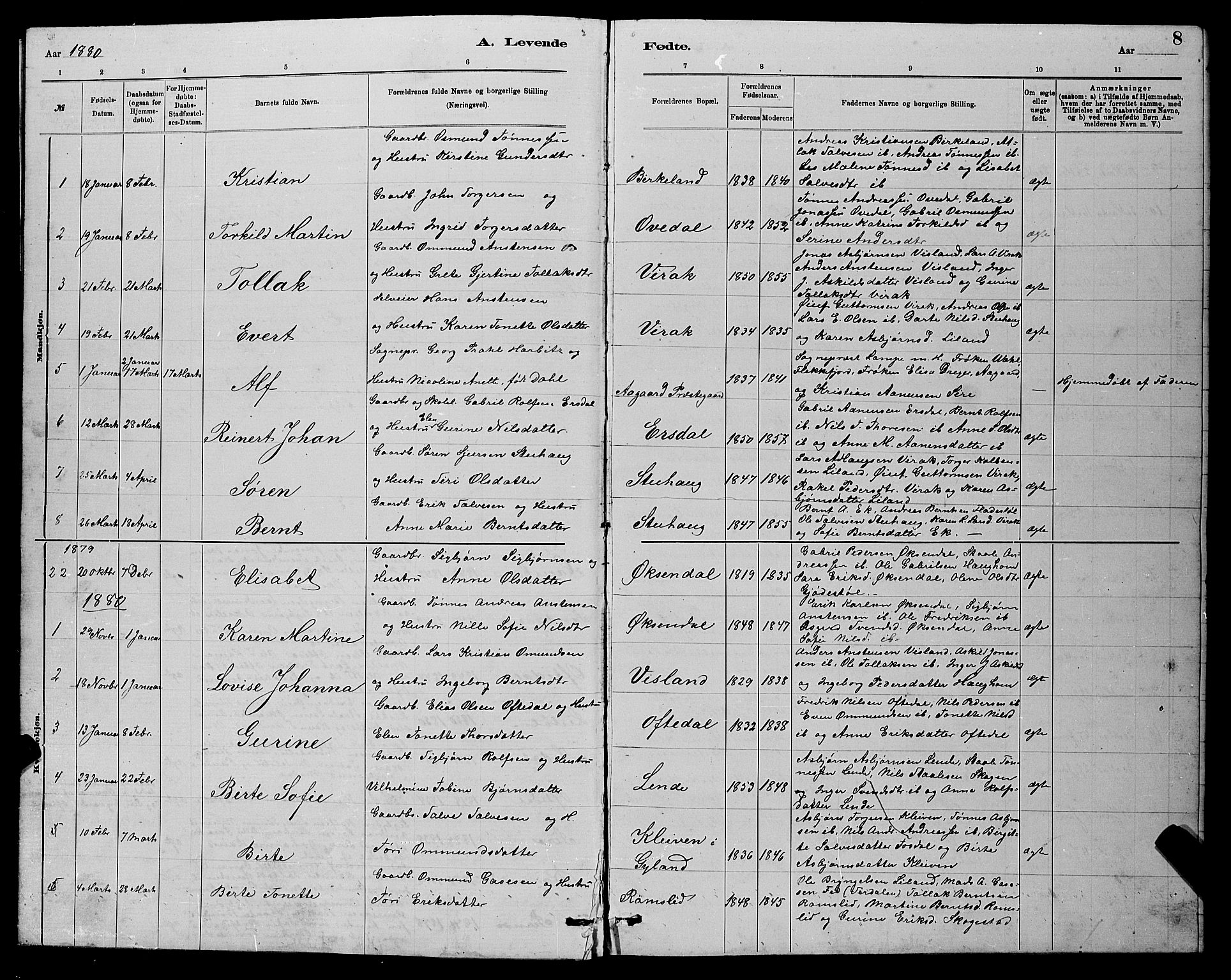 Bakke sokneprestkontor, AV/SAK-1111-0002/F/Fb/Fba/L0002: Parish register (copy) no. B 2, 1879-1893, p. 8