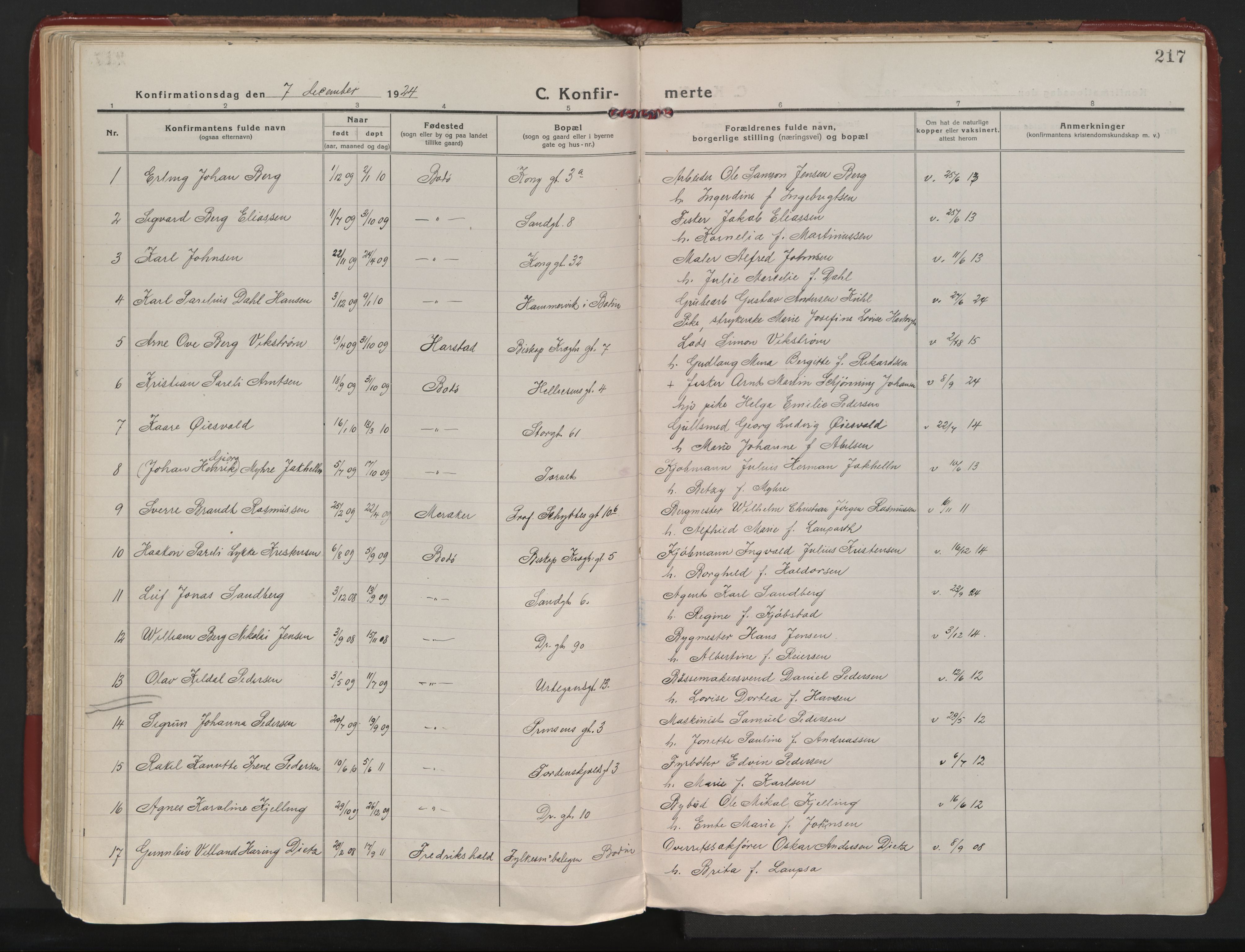 Ministerialprotokoller, klokkerbøker og fødselsregistre - Nordland, AV/SAT-A-1459/801/L0017: Parish register (official) no. 801A17, 1917-1930, p. 217