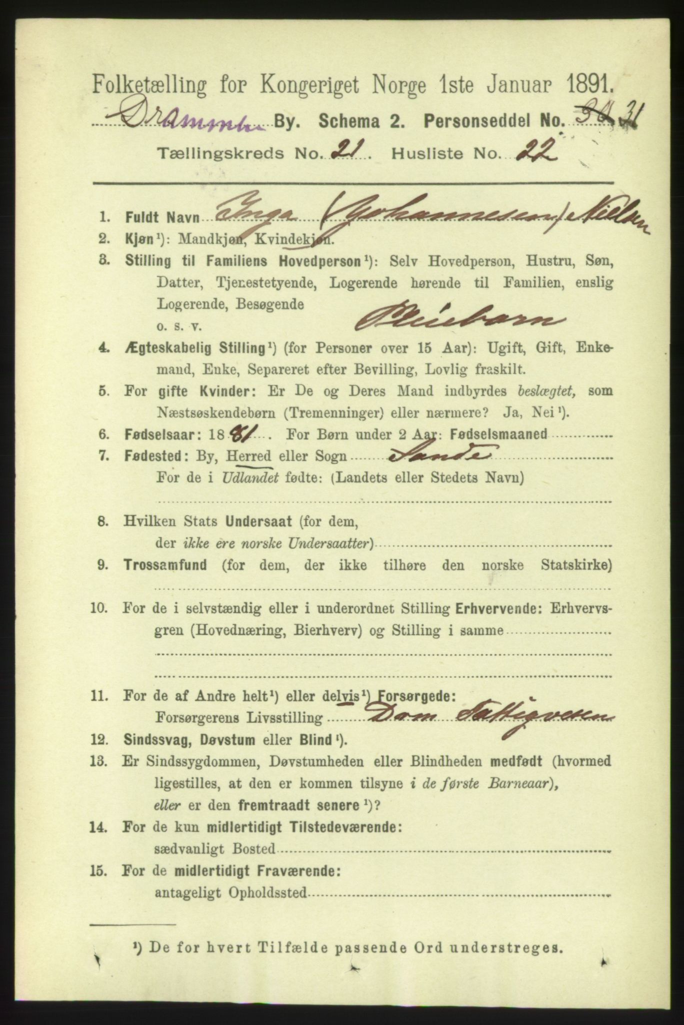 RA, 1891 census for 0602 Drammen, 1891, p. 13291
