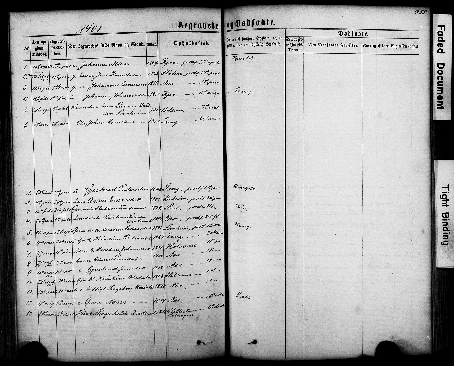 Hafslo sokneprestembete, SAB/A-80301/H/Hab/Haba/L0001: Parish register (copy) no. A 1, 1866-1908, p. 355