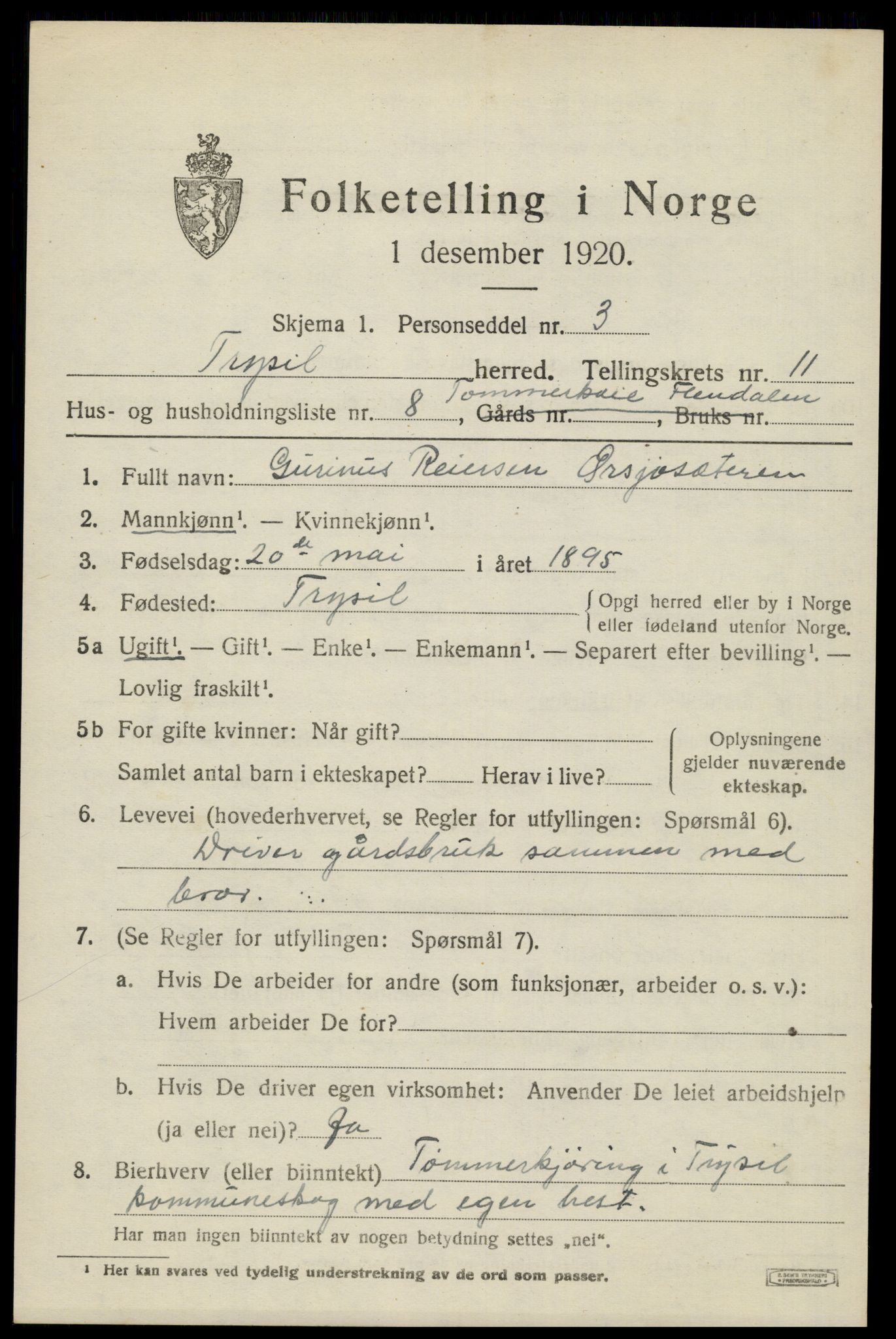 SAH, 1920 census for Trysil, 1920, p. 7049