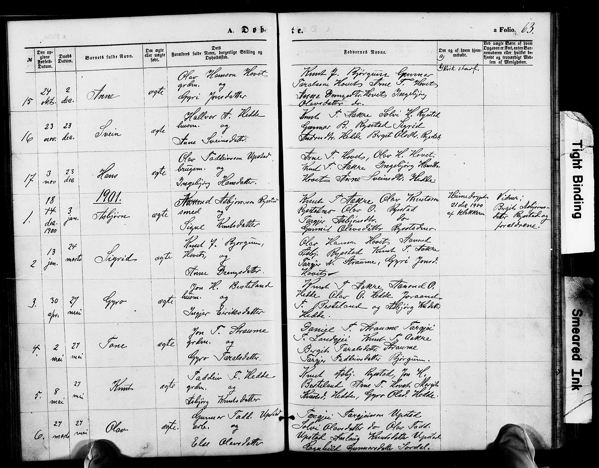 Valle sokneprestkontor, AV/SAK-1111-0044/F/Fb/Fbb/L0002: Parish register (copy) no. B 2, 1875-1921, p. 63
