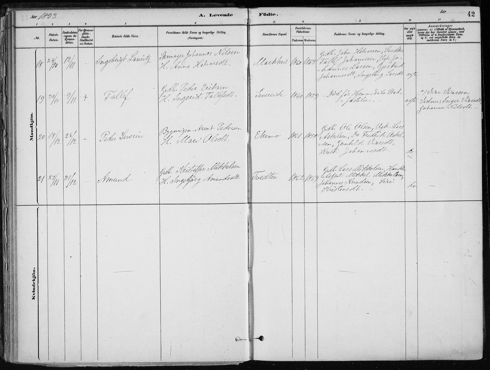 Skånevik sokneprestembete, AV/SAB-A-77801/H/Haa: Parish register (official) no. E  1, 1879-1901, p. 42