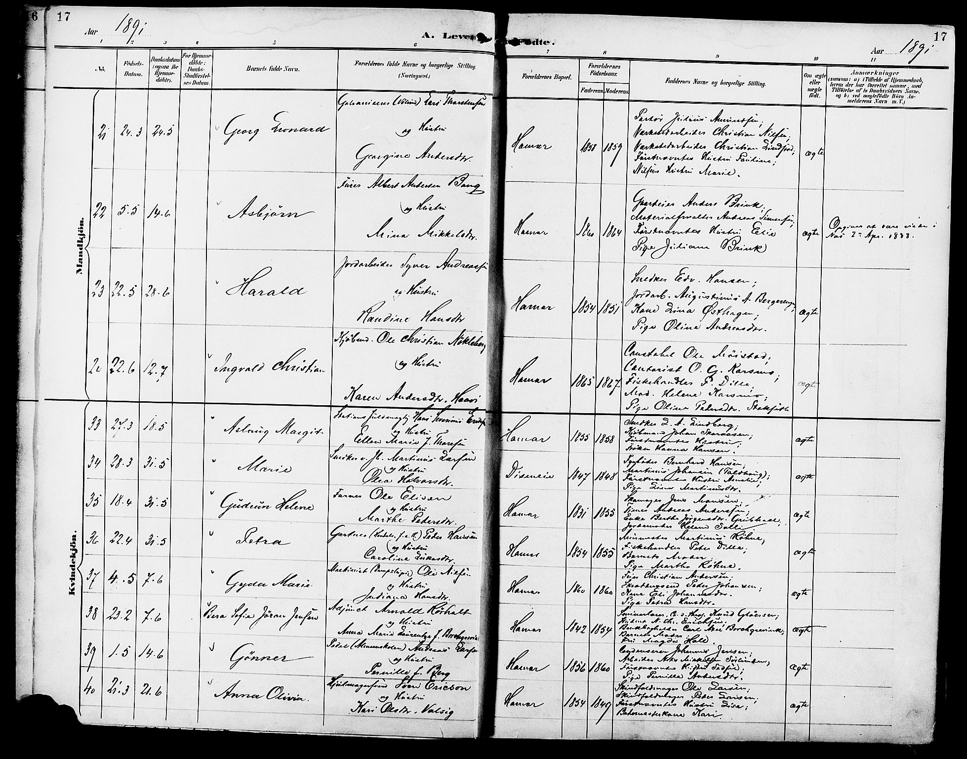 Vang prestekontor, Hedmark, SAH/PREST-008/H/Ha/Haa/L0017: Parish register (official) no. 17, 1890-1899, p. 17
