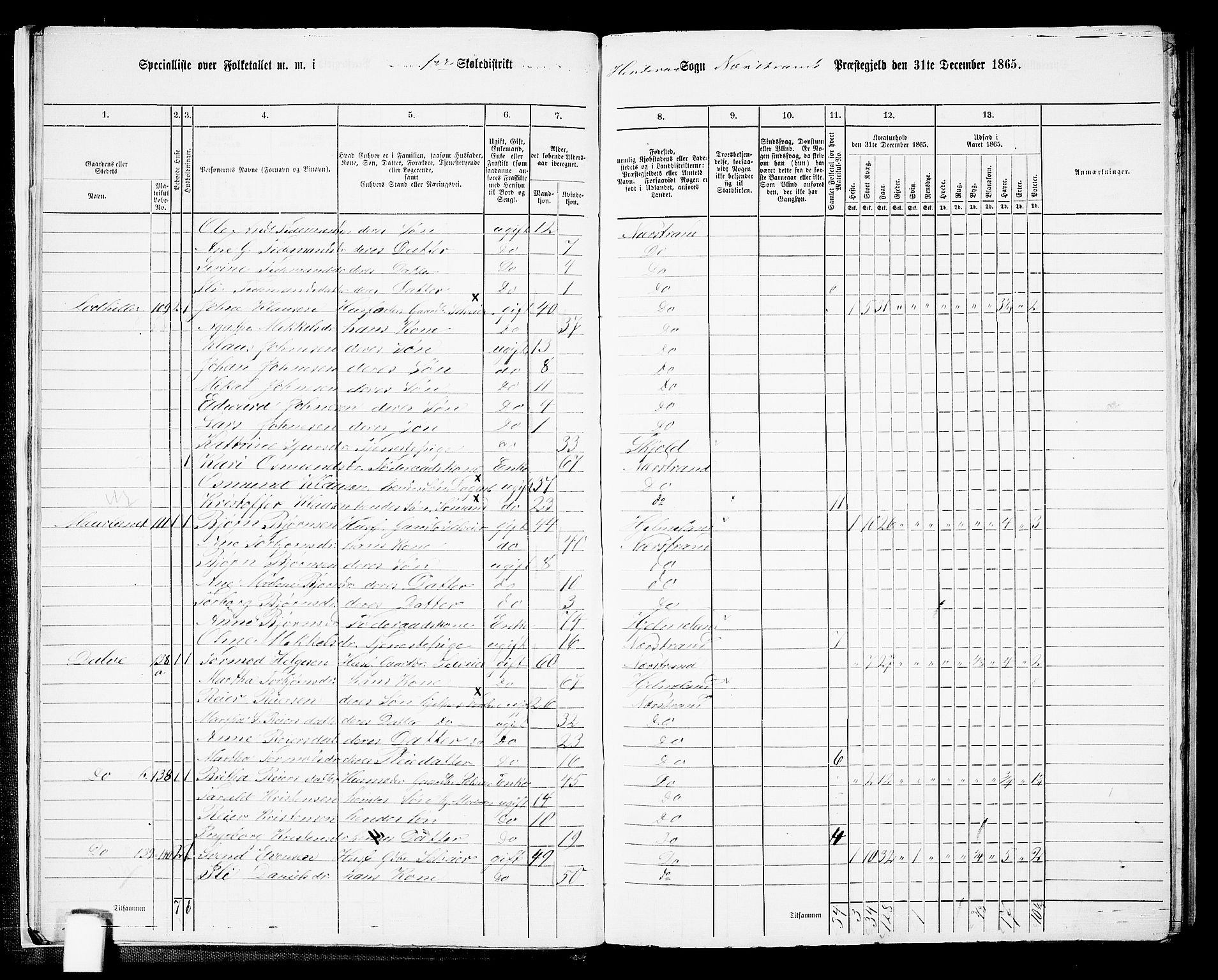 RA, 1865 census for Nedstrand, 1865, p. 14