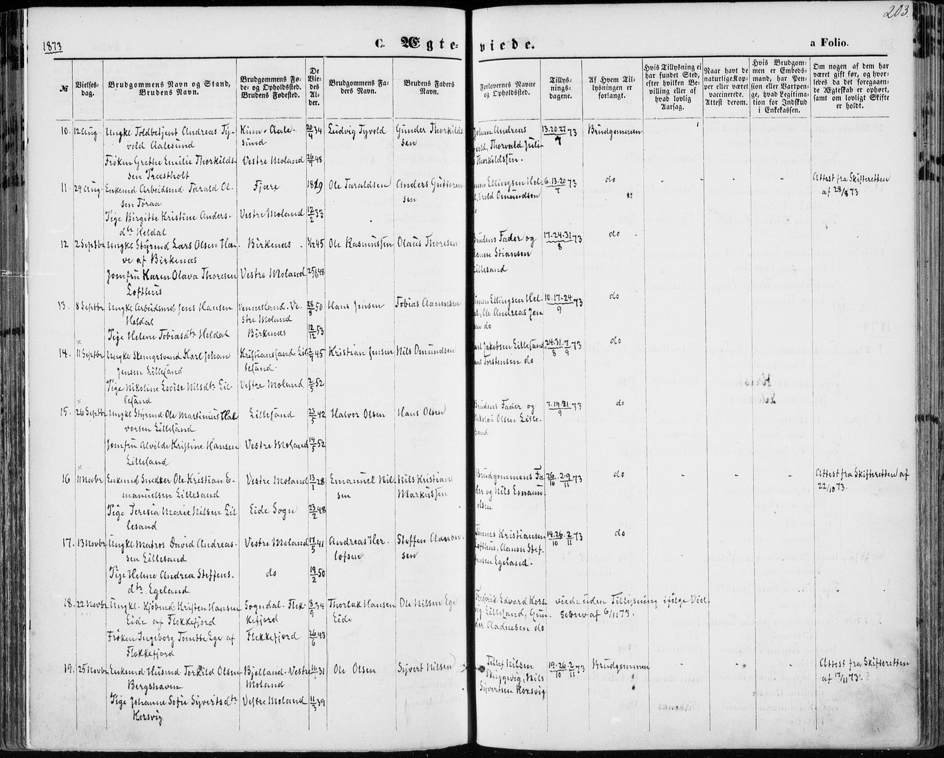 Vestre Moland sokneprestkontor, AV/SAK-1111-0046/F/Fa/Fab/L0008: Parish register (official) no. A 8, 1873-1883, p. 203