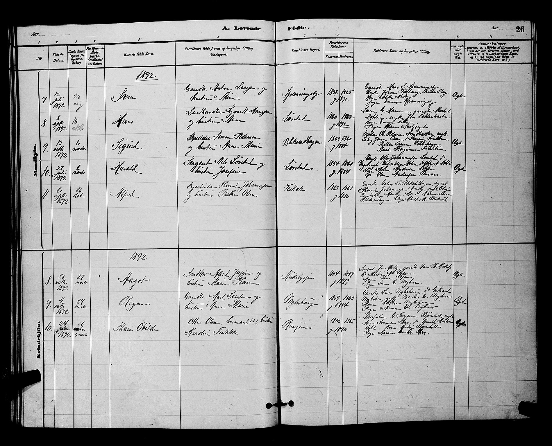 Nittedal prestekontor Kirkebøker, SAO/A-10365a/G/Gb/L0002: Parish register (copy) no. II 2, 1879-1901, p. 26