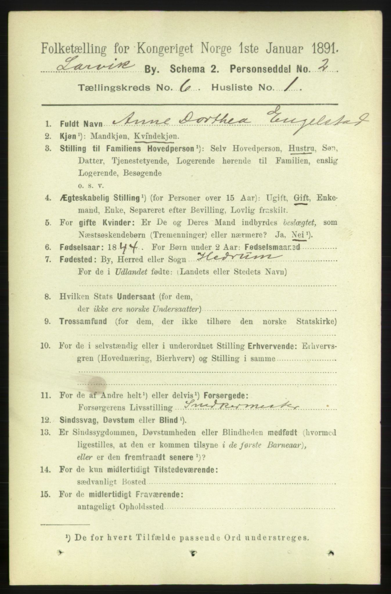 RA, 1891 census for 0707 Larvik, 1891, p. 6582