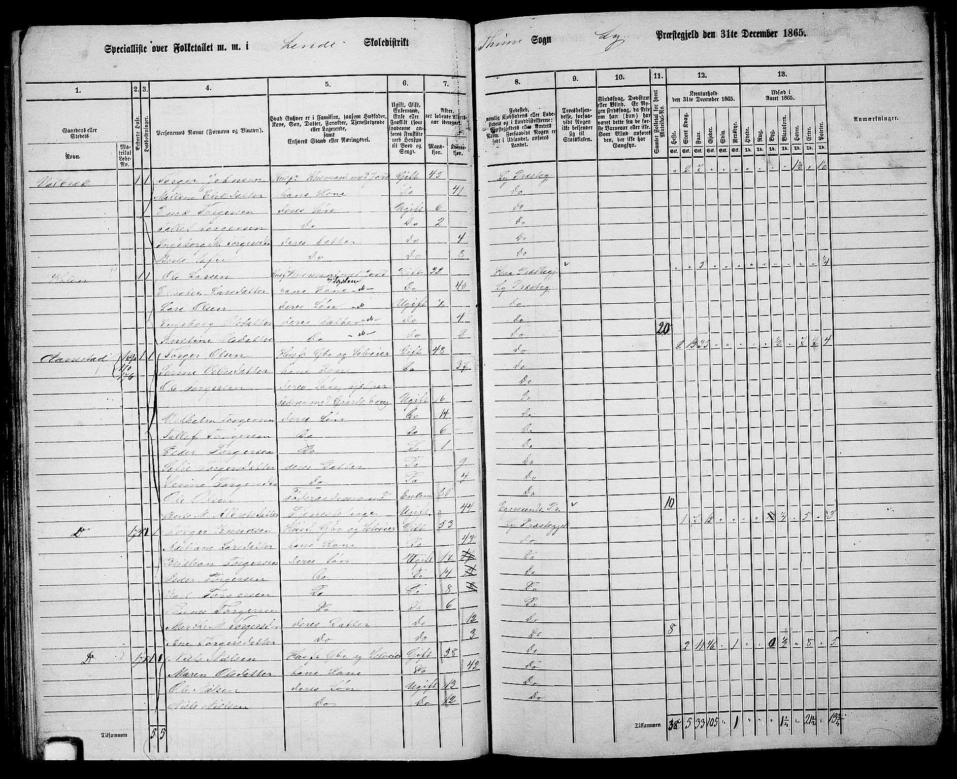 RA, 1865 census for Lye, 1865, p. 94