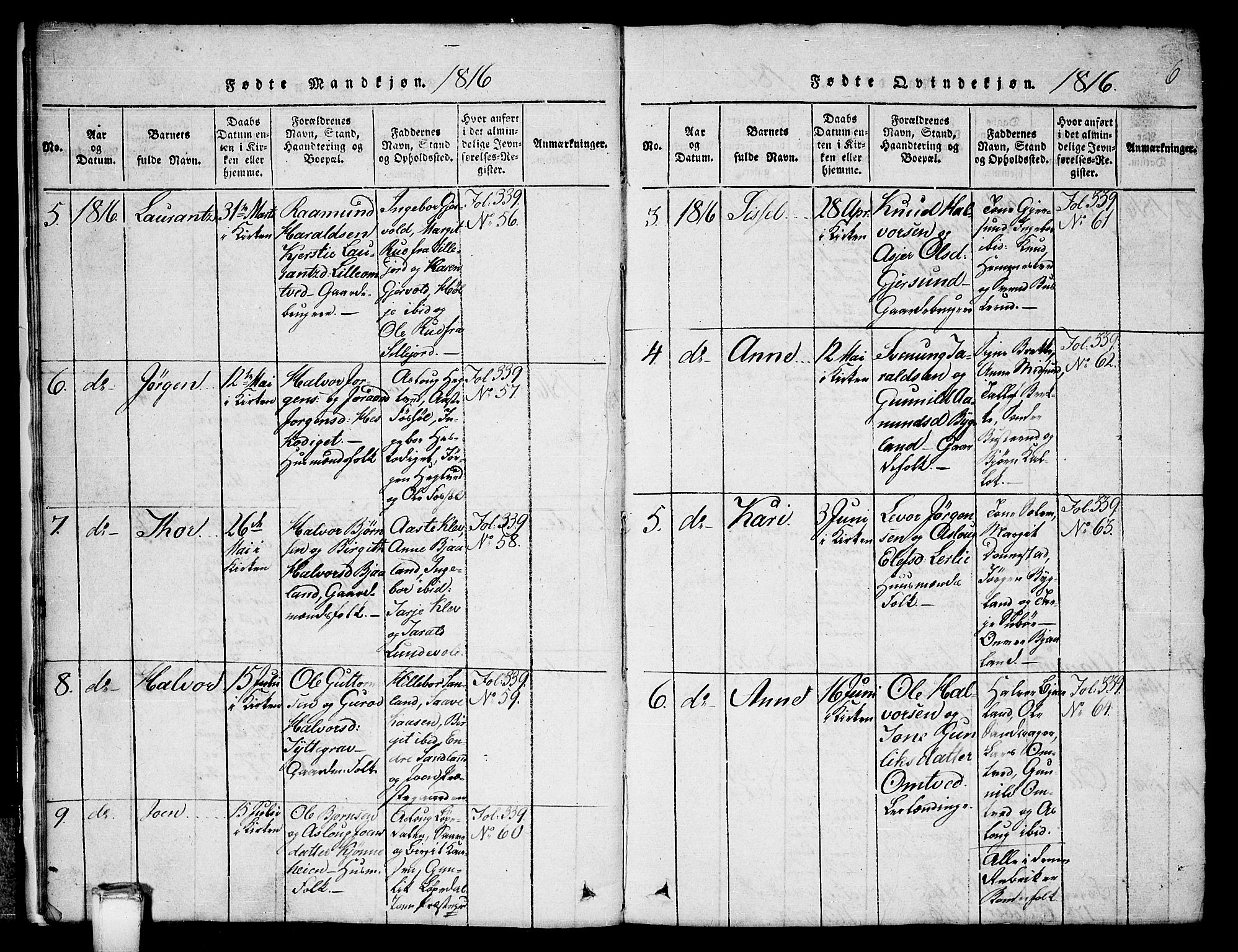 Kviteseid kirkebøker, SAKO/A-276/G/Gb/L0001: Parish register (copy) no. II 1, 1815-1842, p. 6