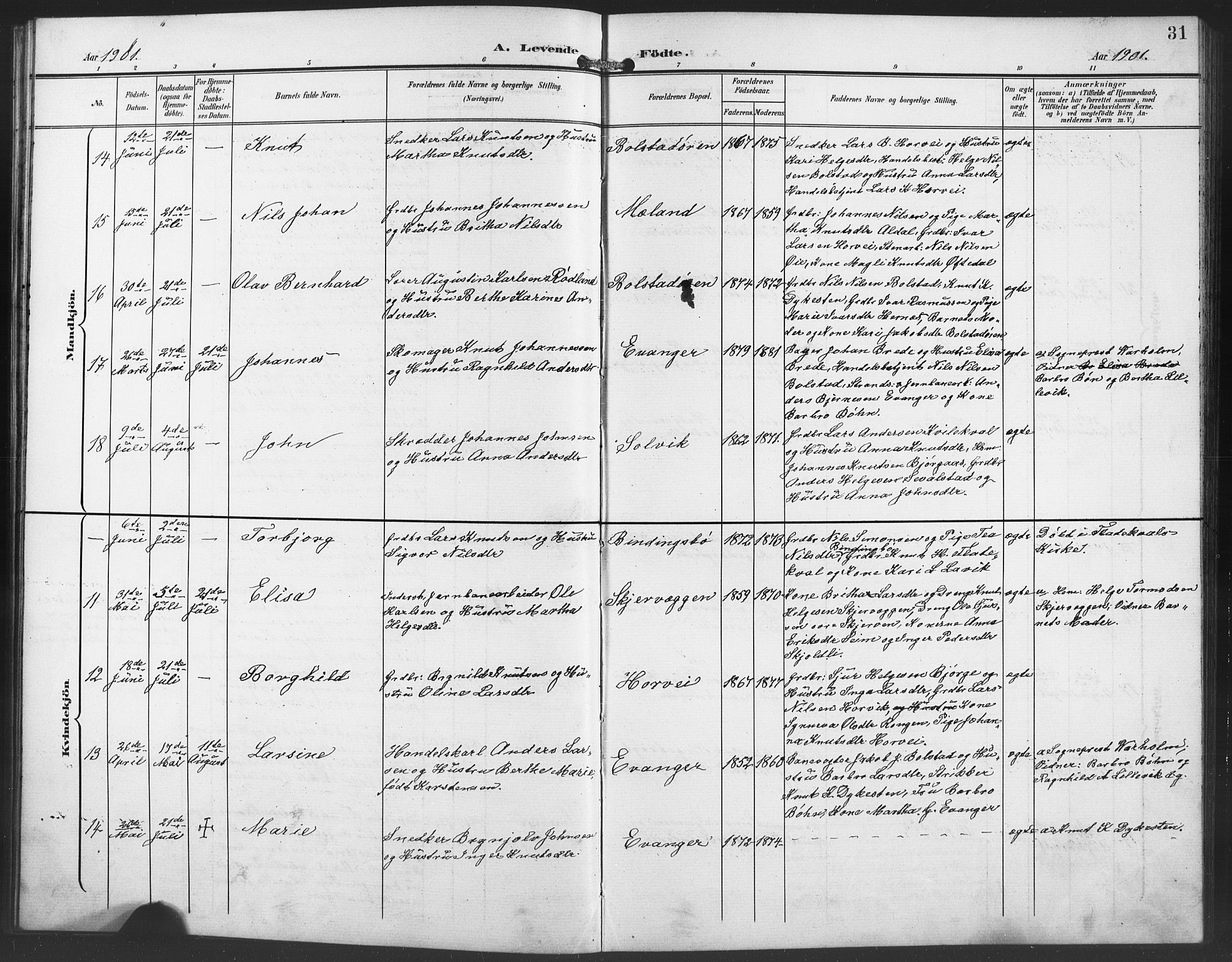 Evanger sokneprestembete, AV/SAB-A-99924: Parish register (copy) no. A 5, 1897-1917, p. 31