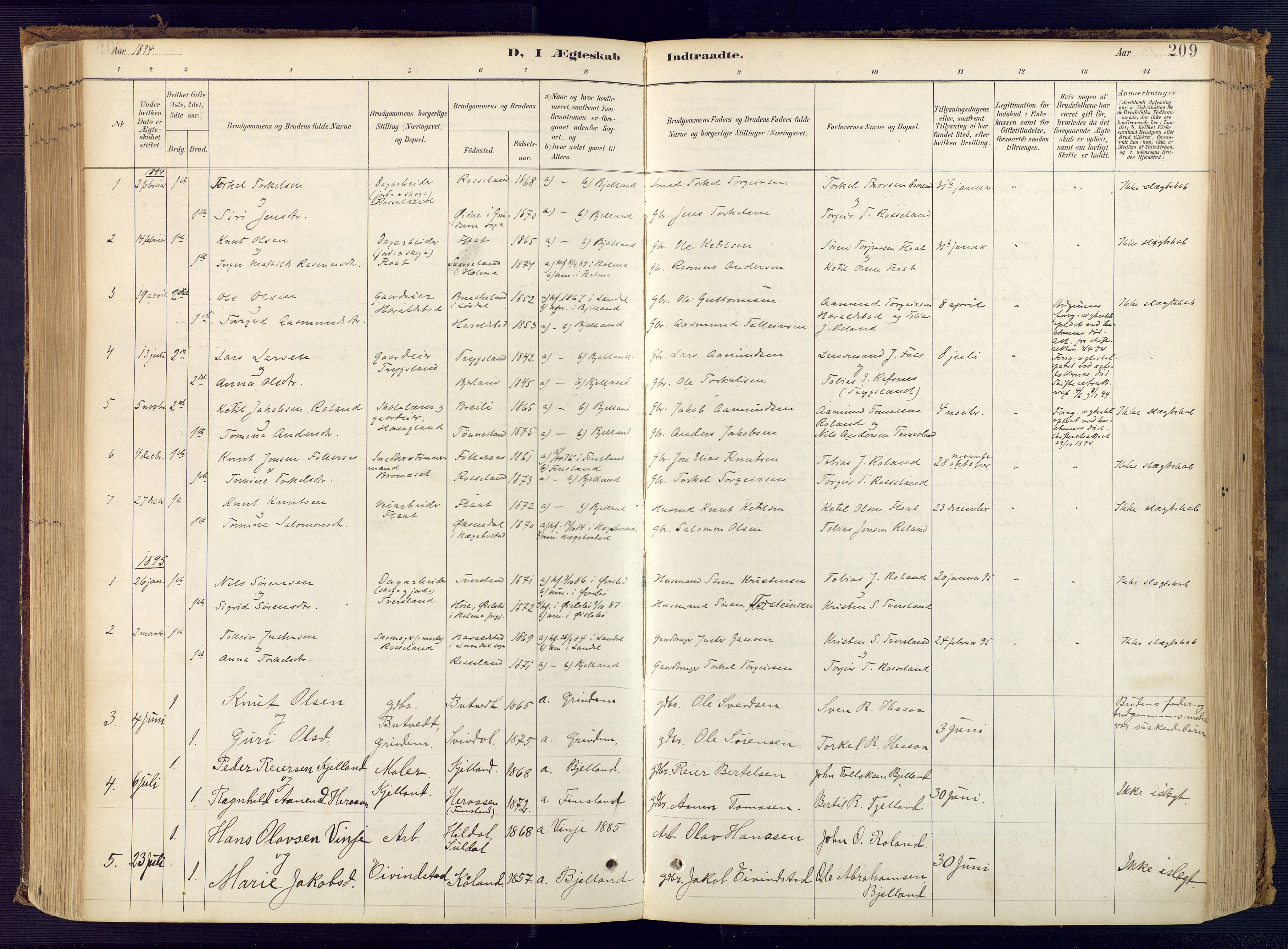 Bjelland sokneprestkontor, SAK/1111-0005/F/Fa/Faa/L0004: Parish register (official) no. A 4, 1887-1923, p. 209