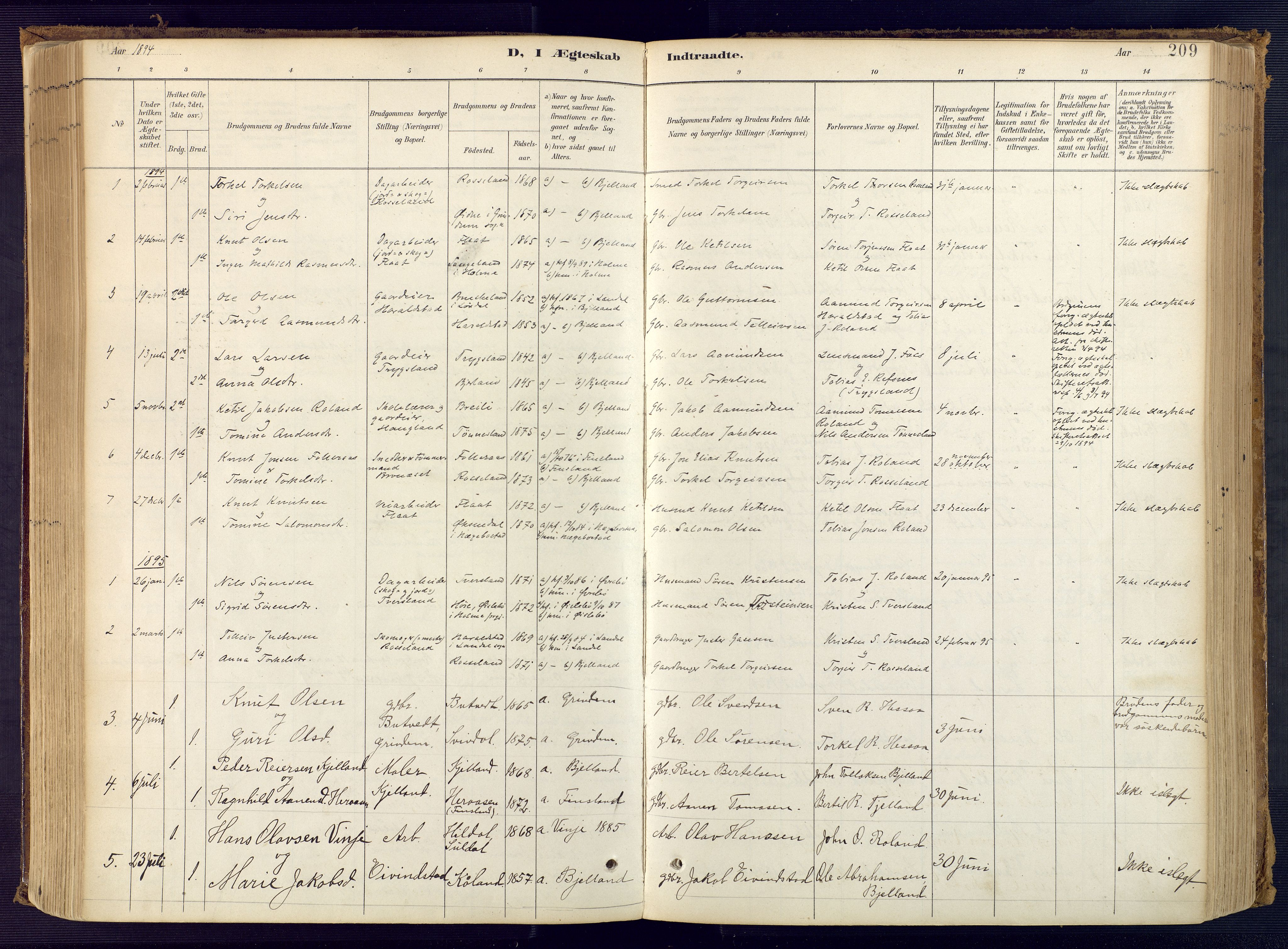 Bjelland sokneprestkontor, AV/SAK-1111-0005/F/Fa/Faa/L0004: Parish register (official) no. A 4, 1887-1923, p. 209