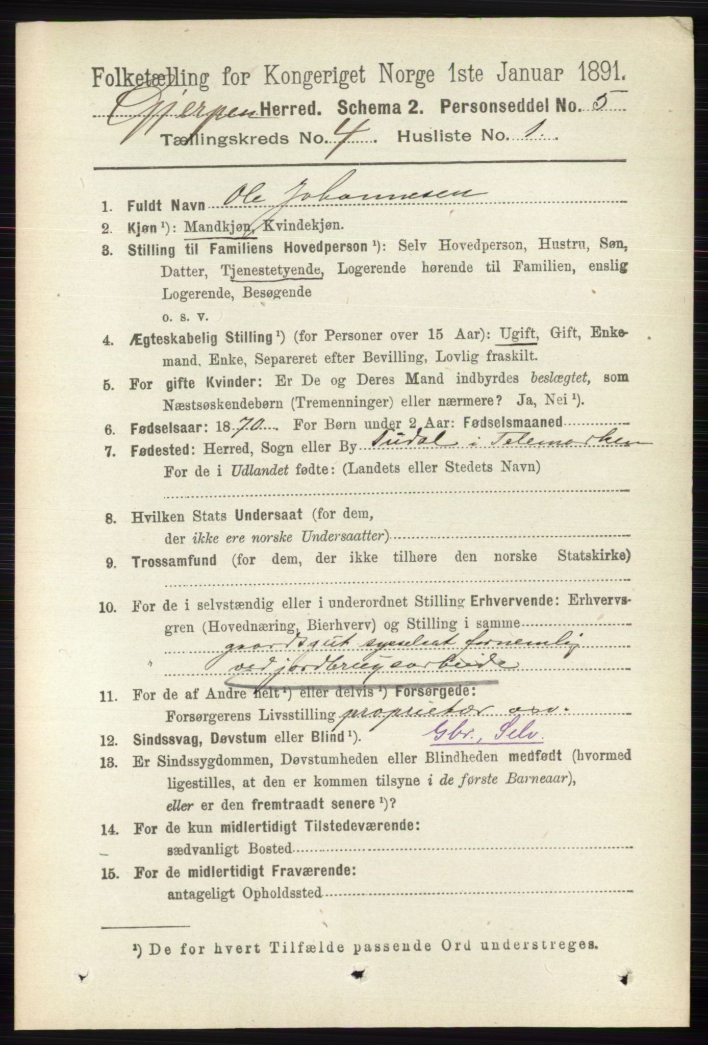 RA, 1891 census for 0812 Gjerpen, 1891, p. 1954