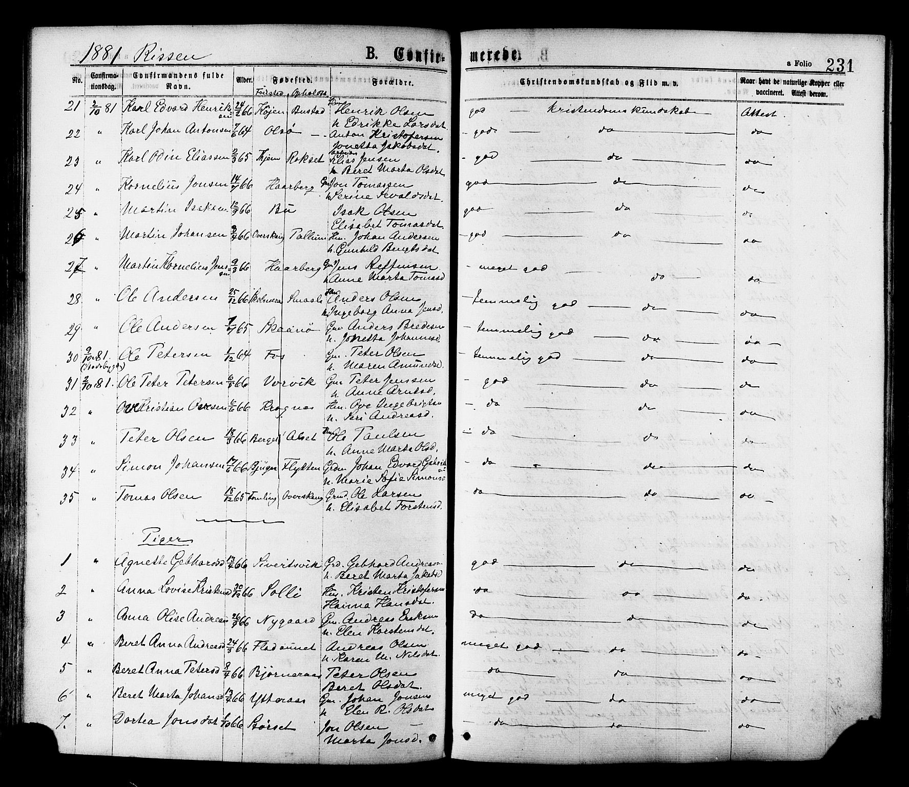 Ministerialprotokoller, klokkerbøker og fødselsregistre - Sør-Trøndelag, SAT/A-1456/646/L0613: Parish register (official) no. 646A11, 1870-1884, p. 231