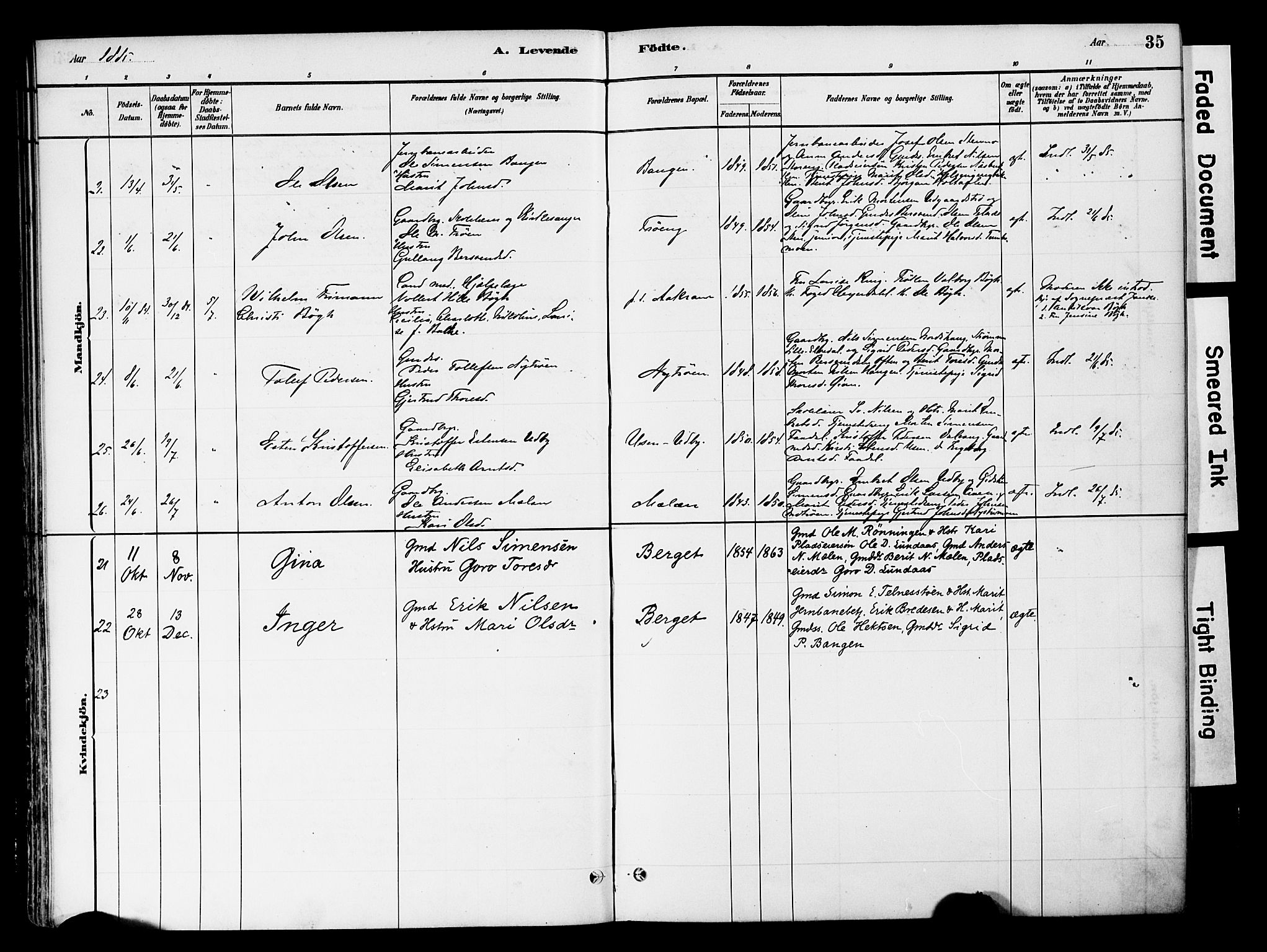 Tynset prestekontor, SAH/PREST-058/H/Ha/Haa/L0022: Parish register (official) no. 22, 1880-1899, p. 35