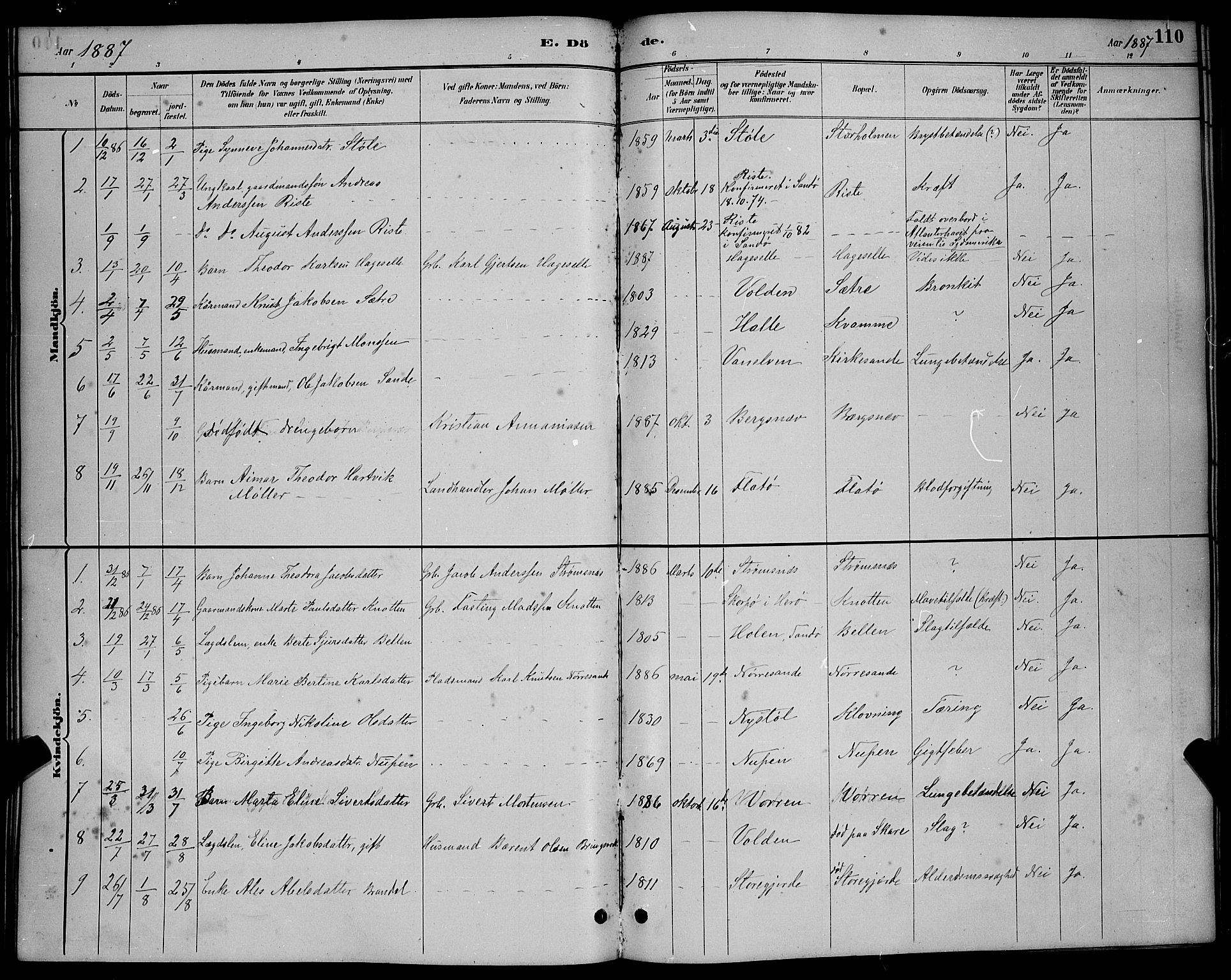 Ministerialprotokoller, klokkerbøker og fødselsregistre - Møre og Romsdal, AV/SAT-A-1454/503/L0048: Parish register (copy) no. 503C03, 1885-1893, p. 110