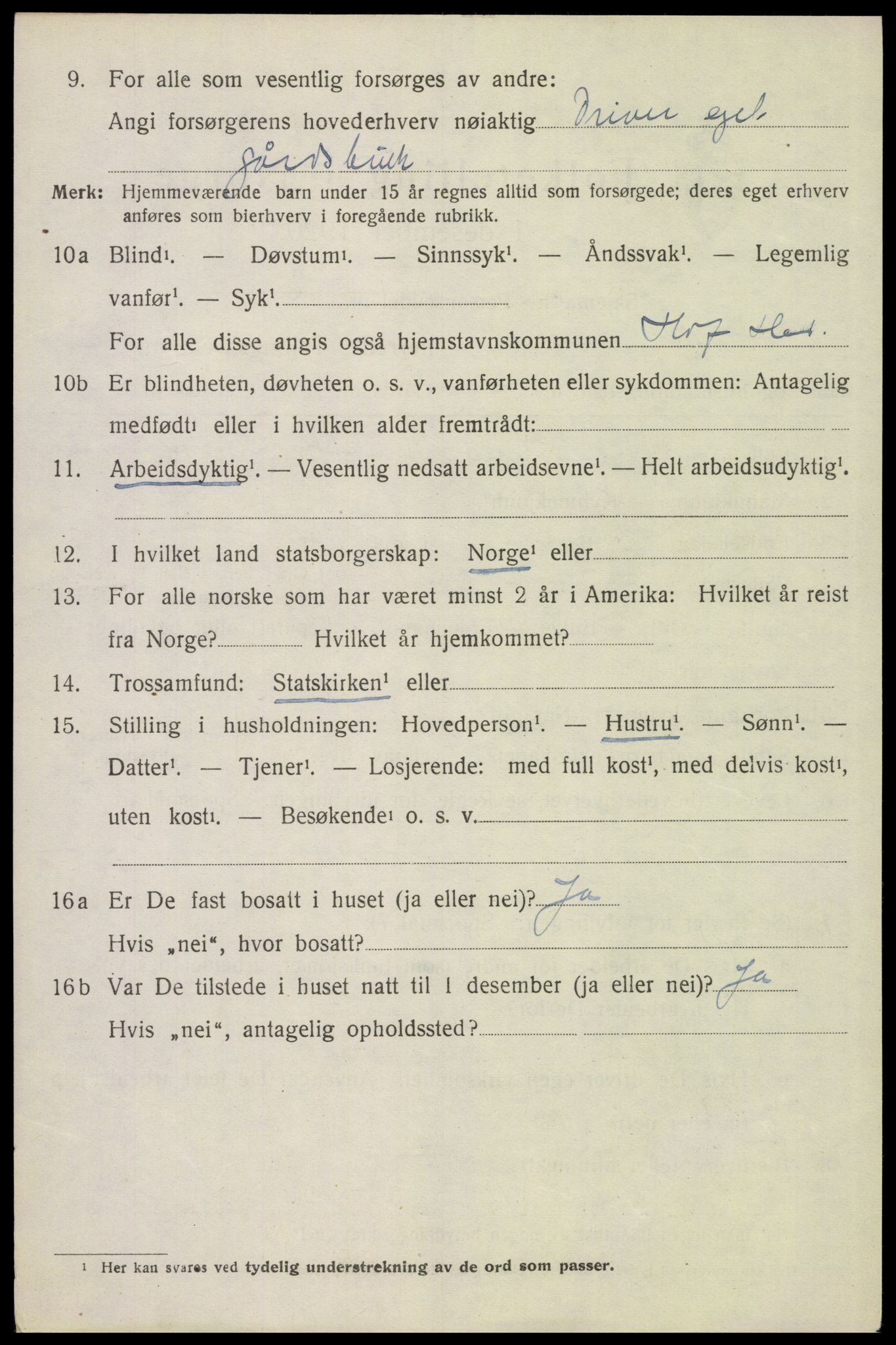 SAH, 1920 census for Hof, 1920, p. 2910