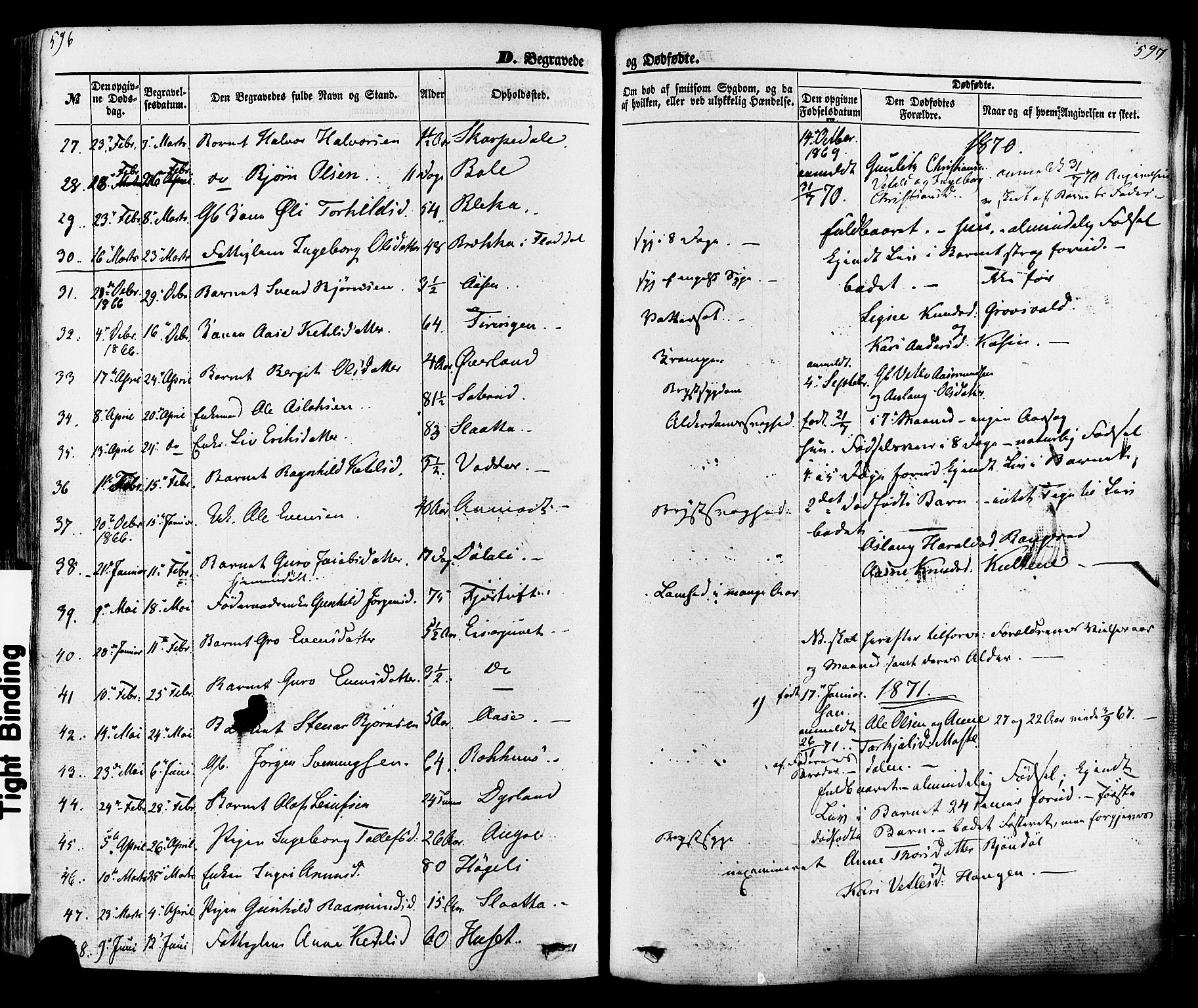 Seljord kirkebøker, SAKO/A-20/F/Fa/L0013: Parish register (official) no. I 13, 1866-1876, p. 596-597