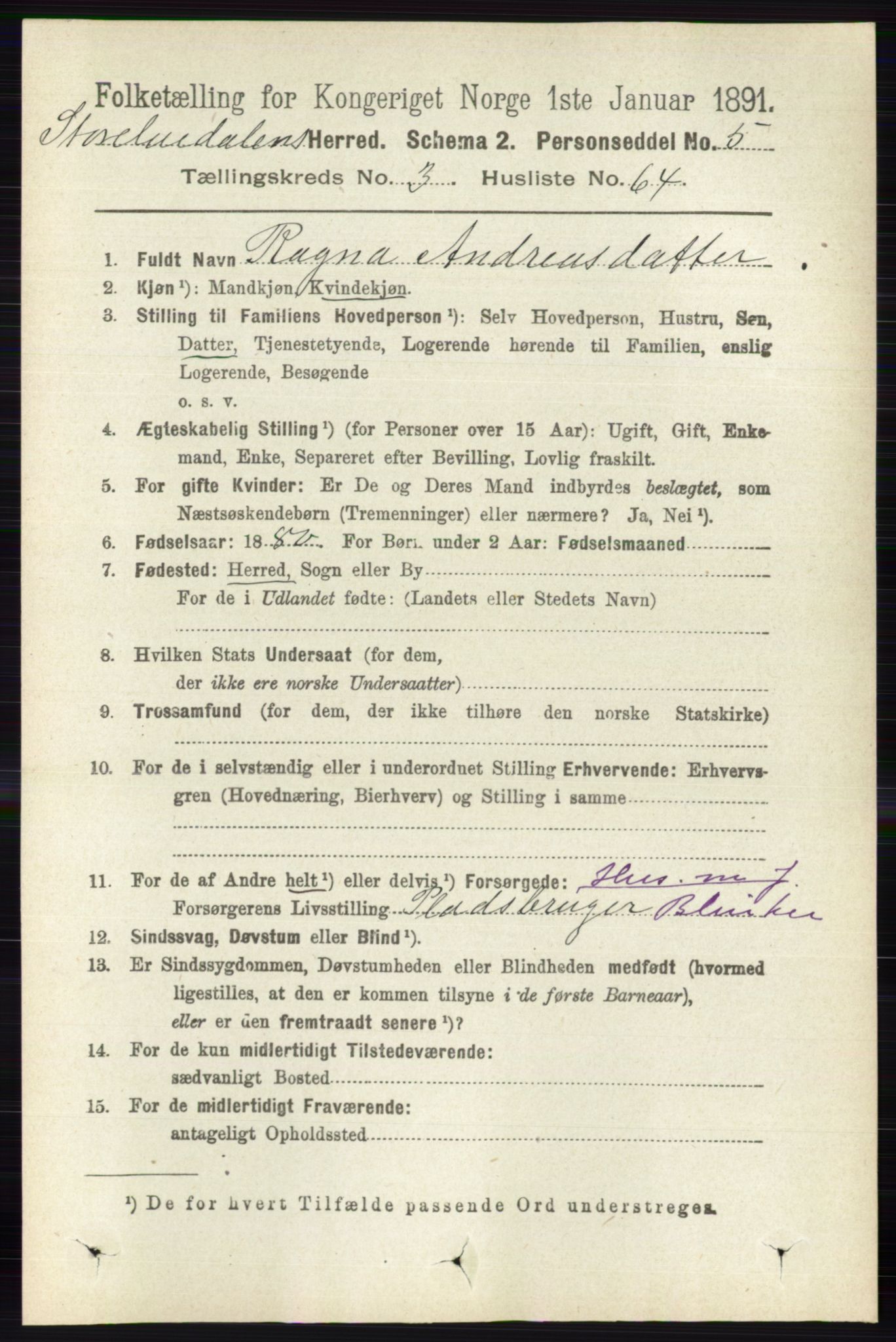 RA, 1891 census for 0430 Stor-Elvdal, 1891, p. 1295