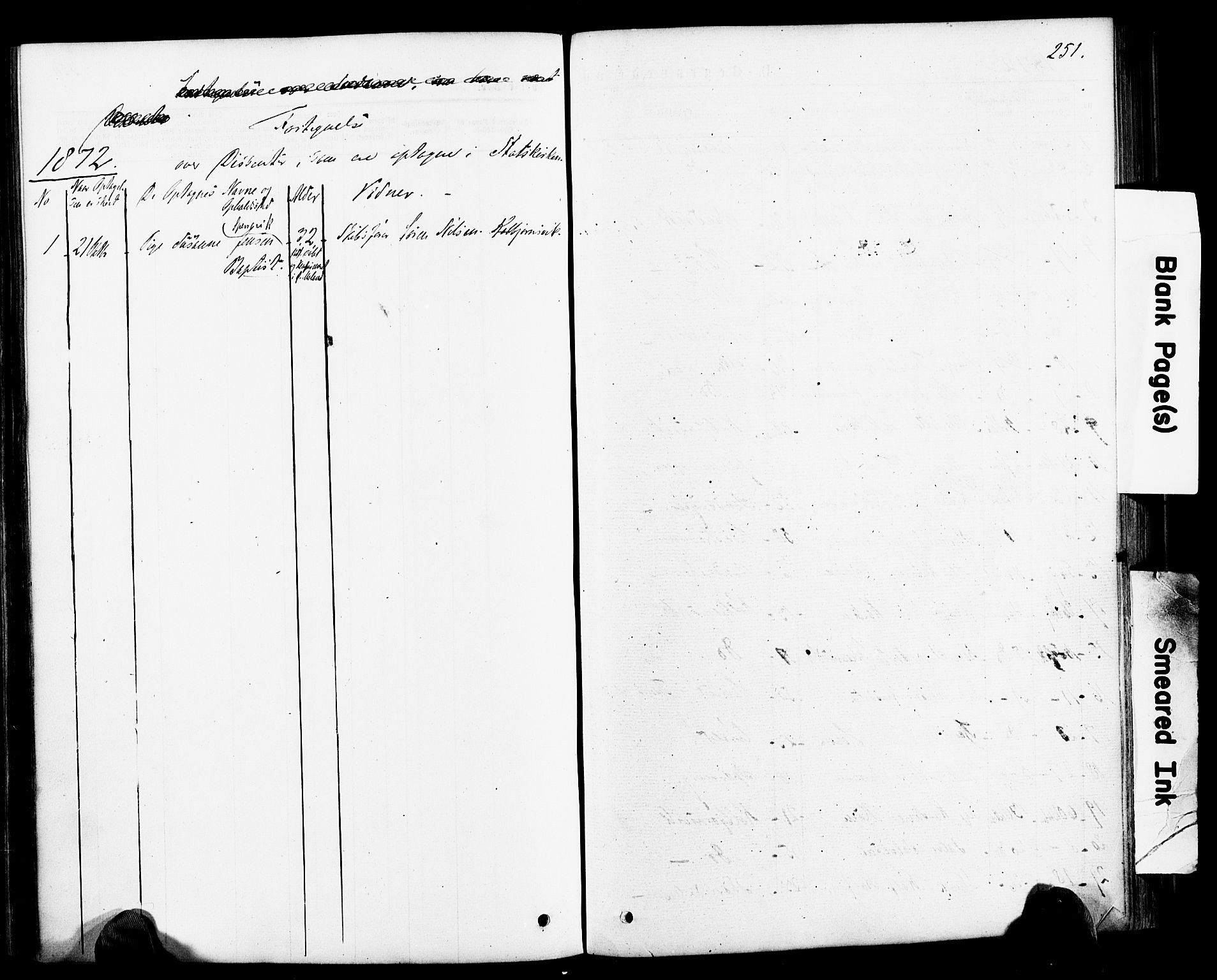 Hisøy sokneprestkontor, SAK/1111-0020/F/Fa/L0002: Parish register (official) no. A 2, 1872-1880, p. 251