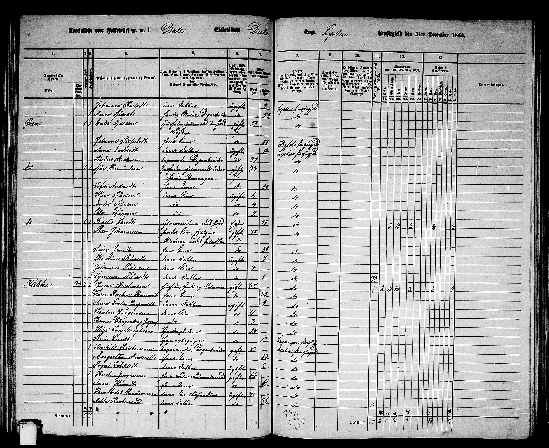 RA, 1865 census for Luster, 1865, p. 87